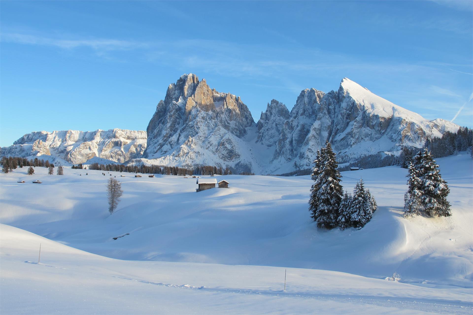 Apartments Wurdengeja - Johanna Selva 27 suedtirol.info