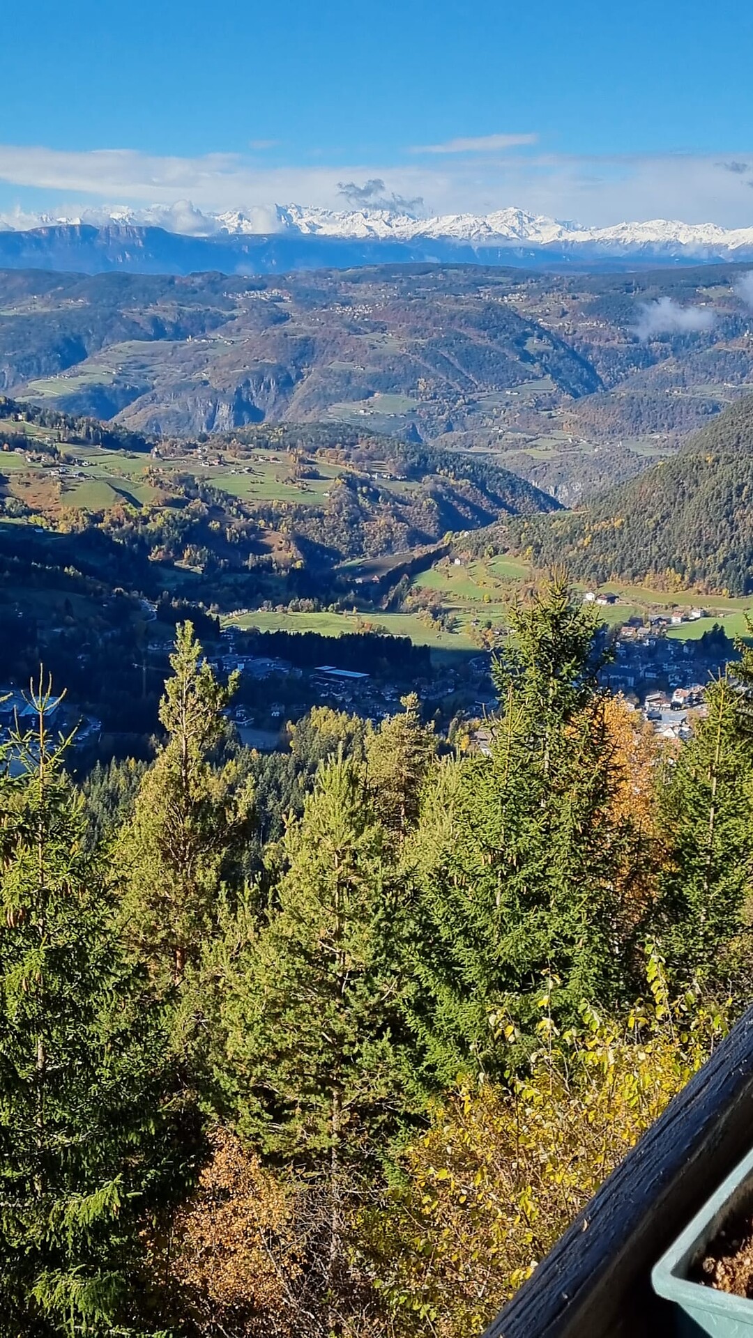 App. Gatschol