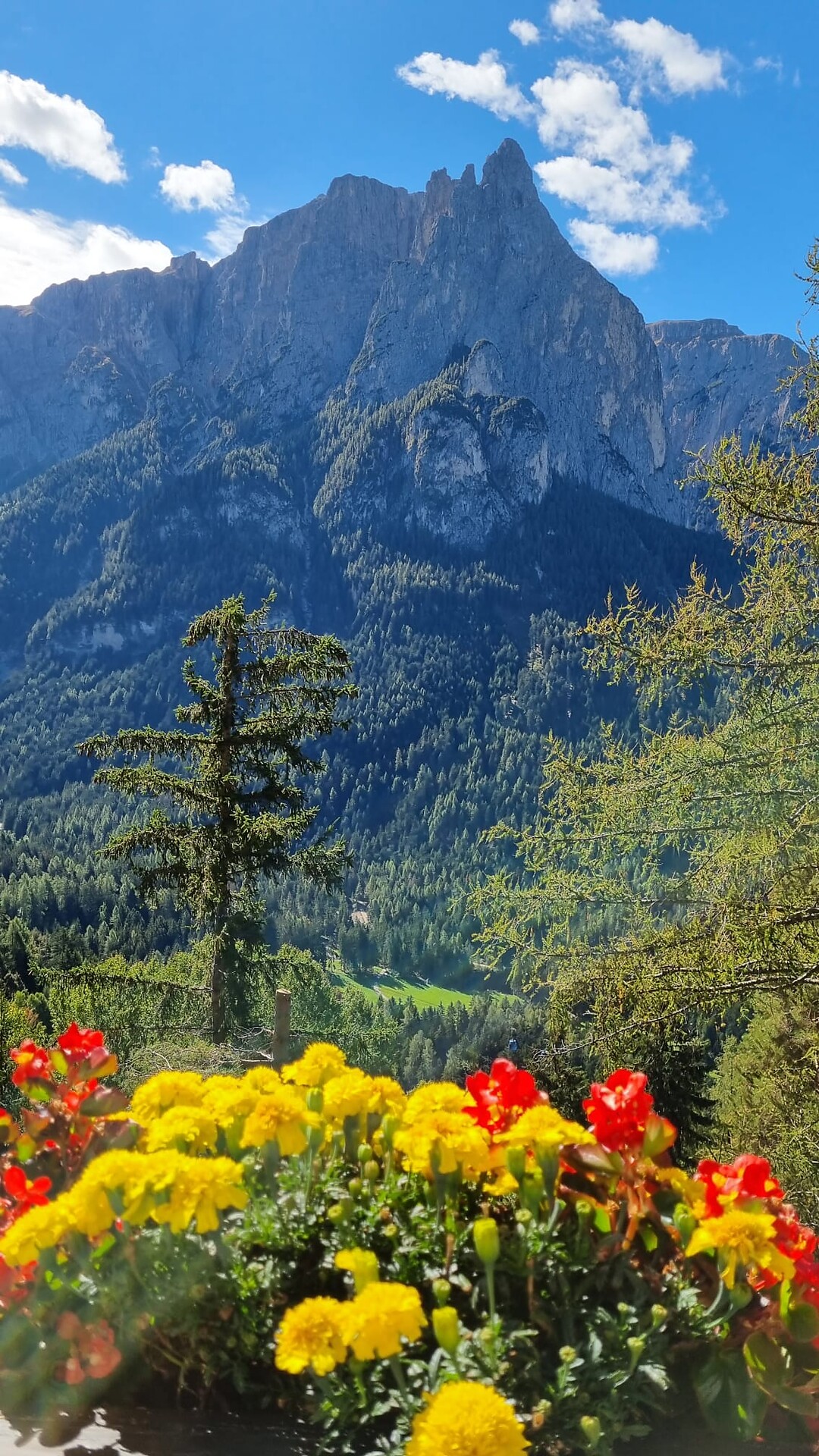 App. Gatschol