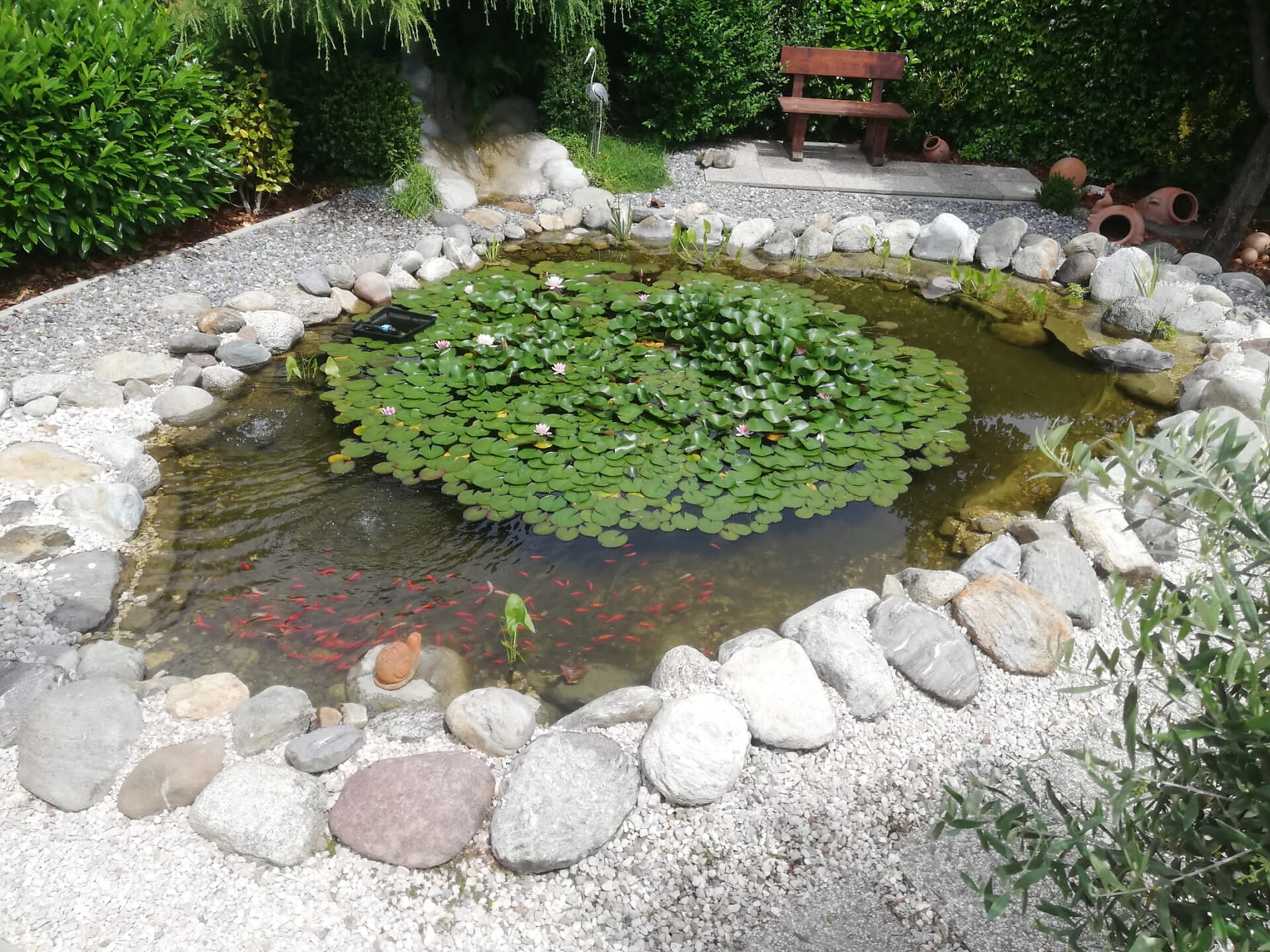 Pond
