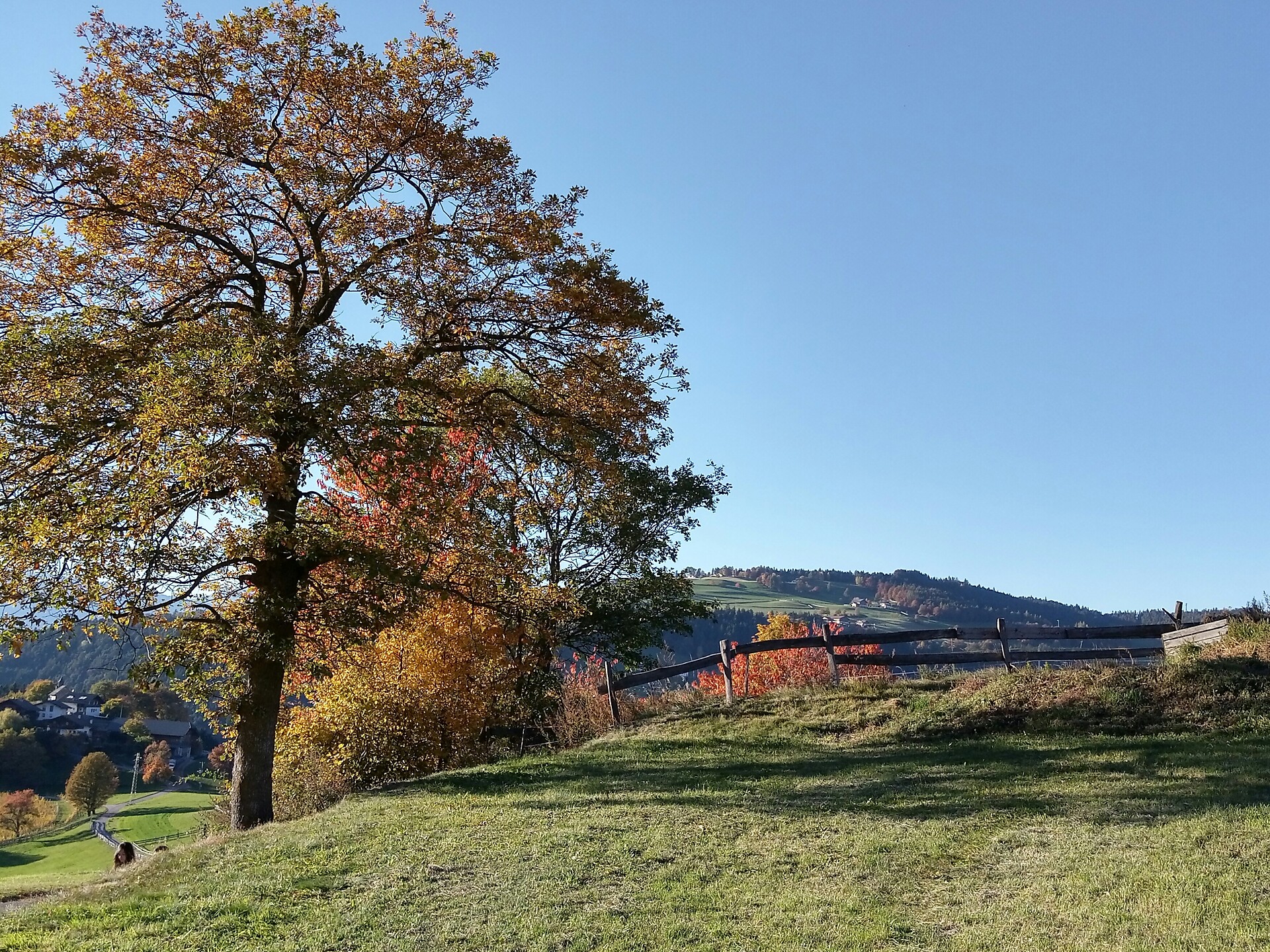 autunno