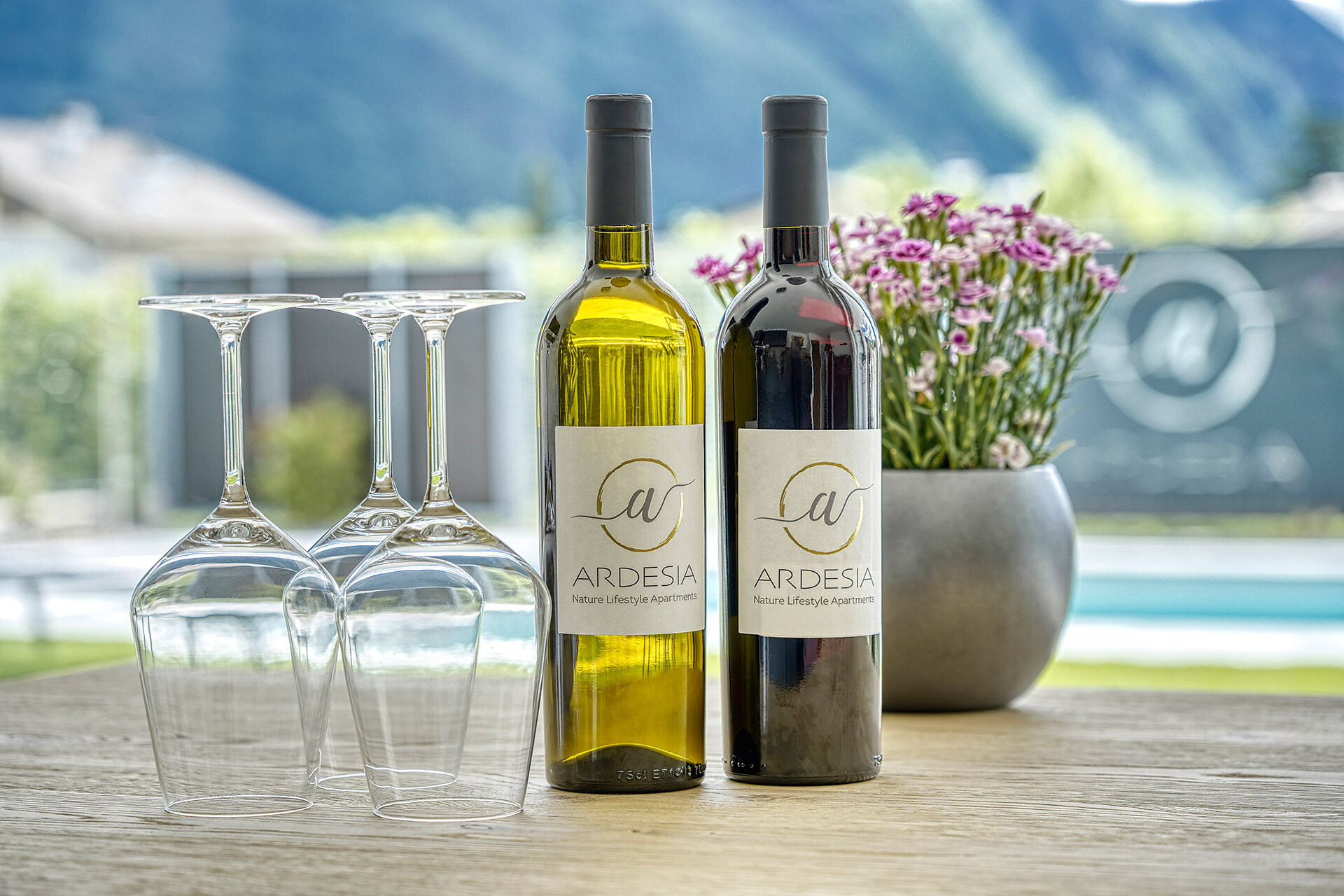 Hauswein Ardesia