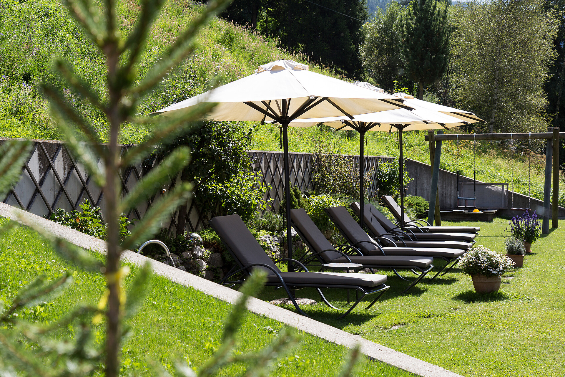 Giardino