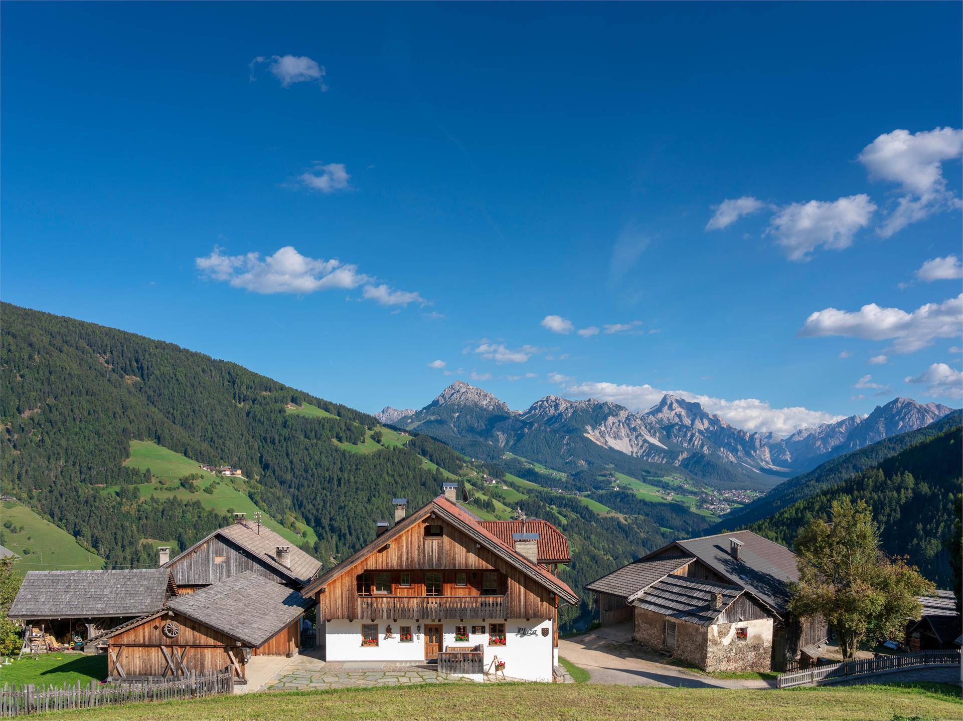 Apartments Plaza - Bauernhof San Vigilio 1 suedtirol.info
