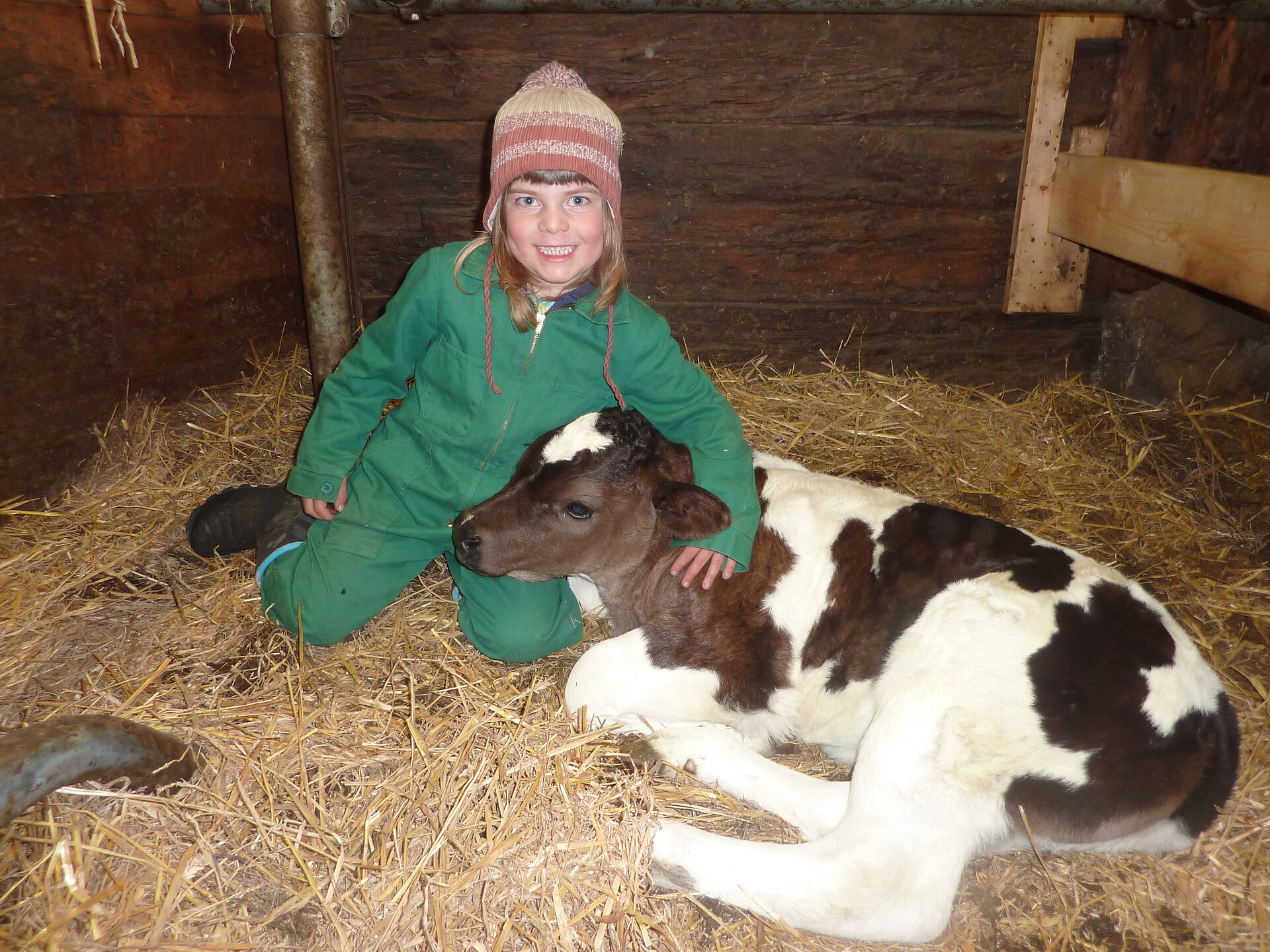 Annika und das Kälbchen