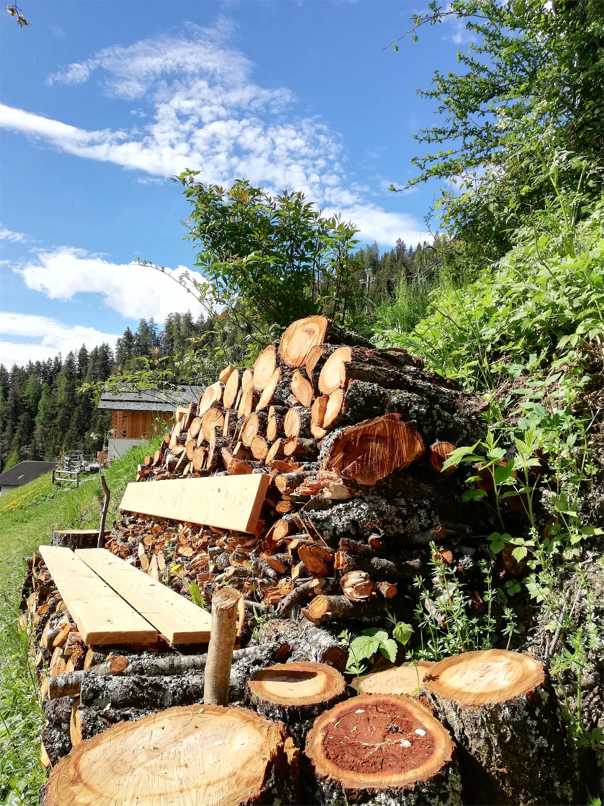 Apartments Natur Chalet San Vigilio 17 suedtirol.info