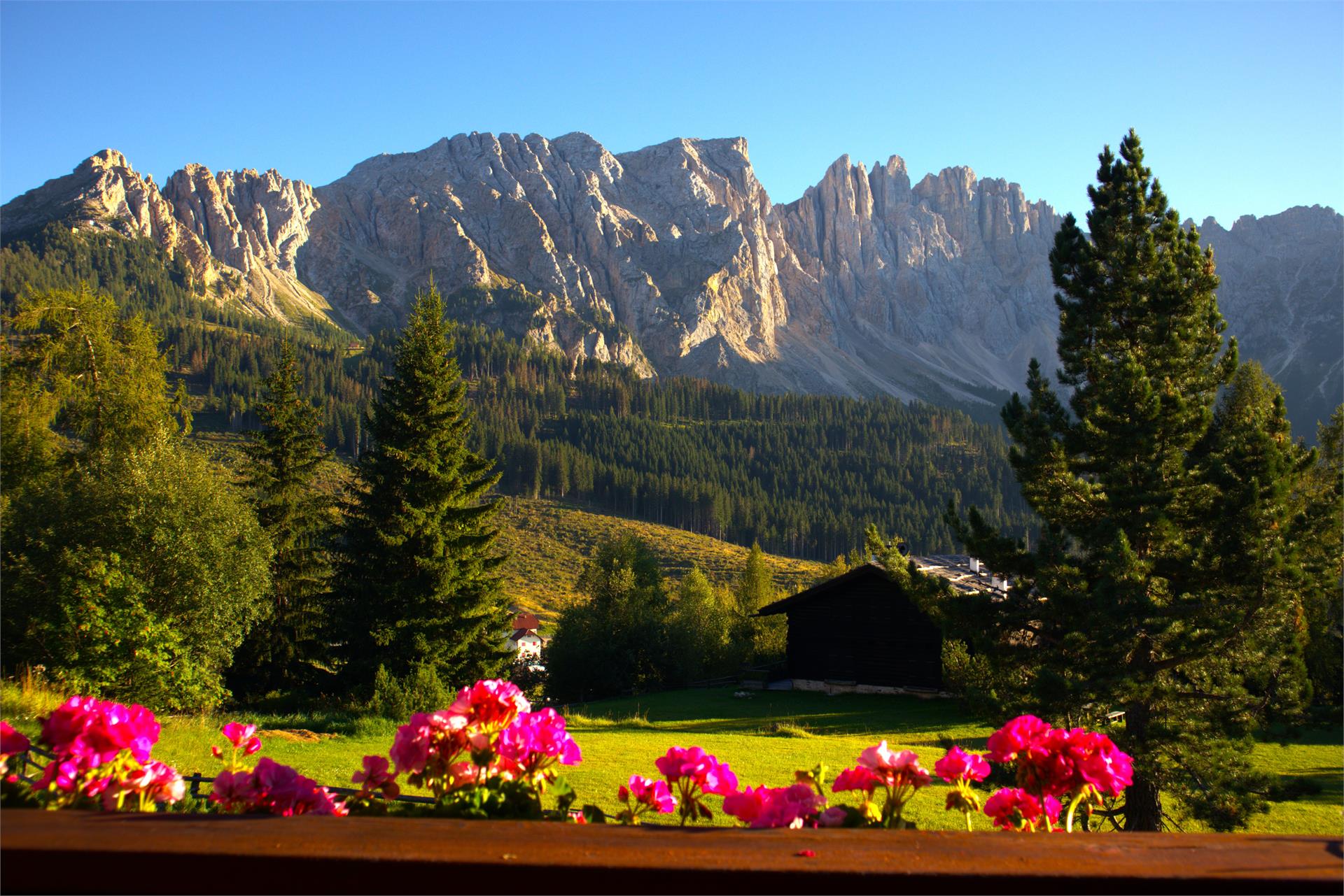 Appartamenti Girgenoy Nova Levante 1 suedtirol.info