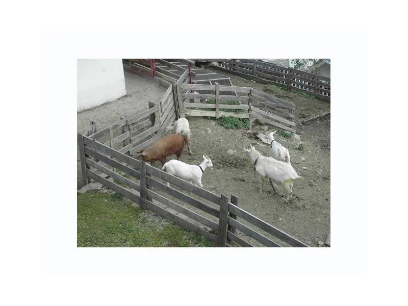 App. Aussermairhof Sand in Taufers/Campo Tures 9 suedtirol.info