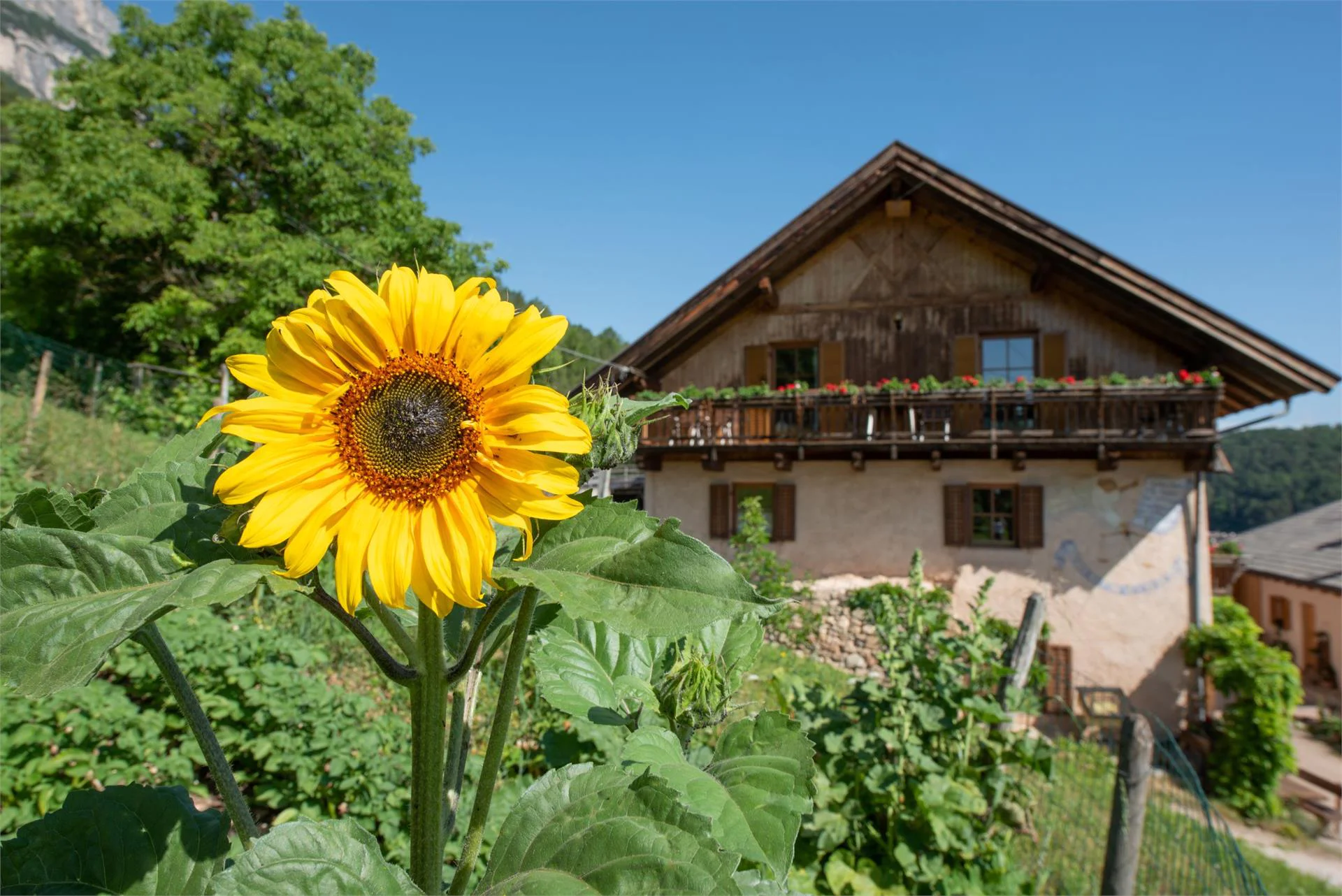 Aignerhof Eppan an der Weinstaße/Appiano sulla Strada del Vino 3 suedtirol.info