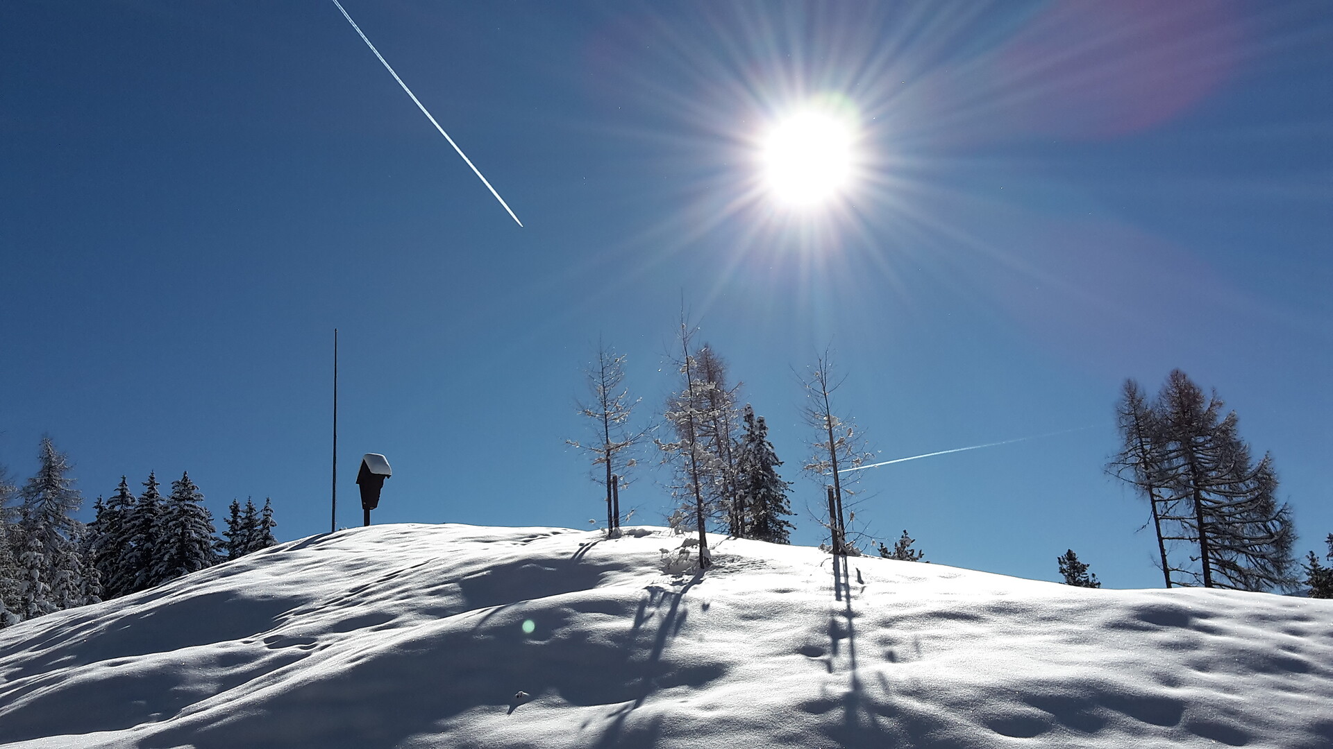 Lüsneralm