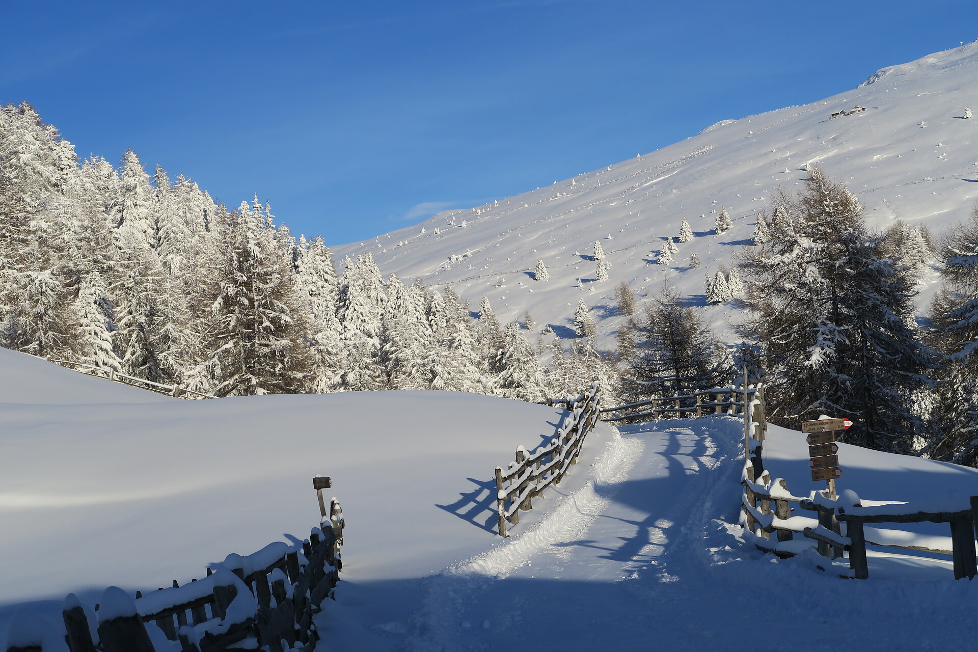Winterwunderland lüsneralm