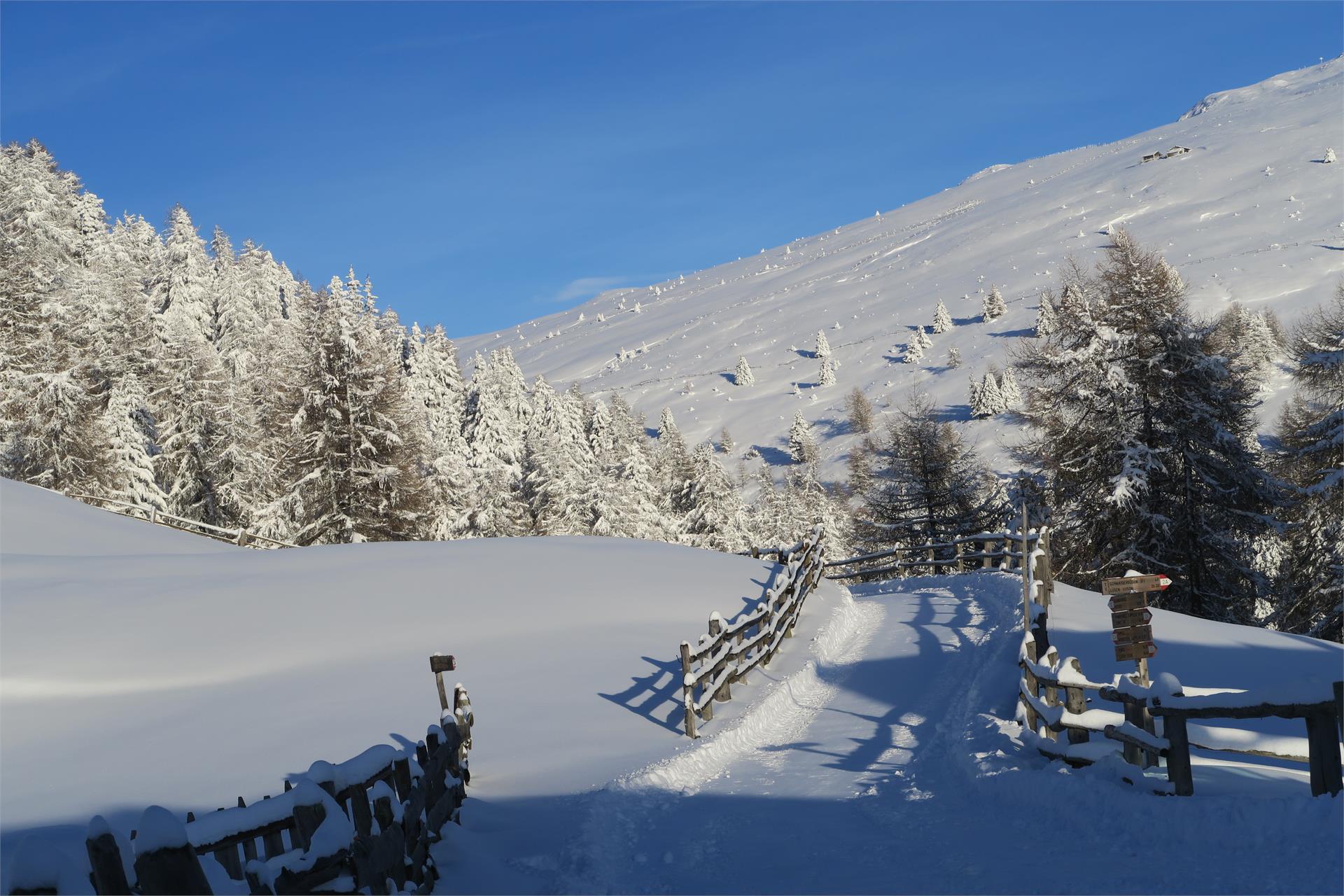 Appartement Santer Lüsen 7 suedtirol.info