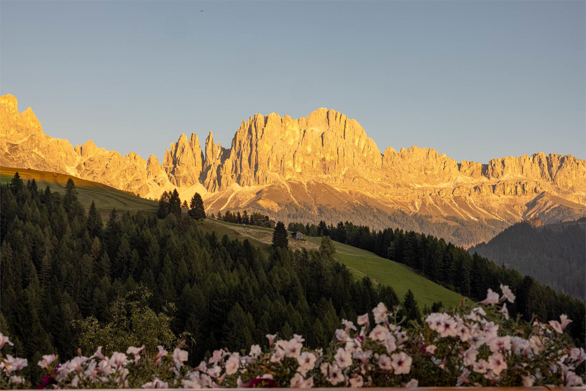 Appartements Jungbrunn Tiers am Rosengarten 16 suedtirol.info