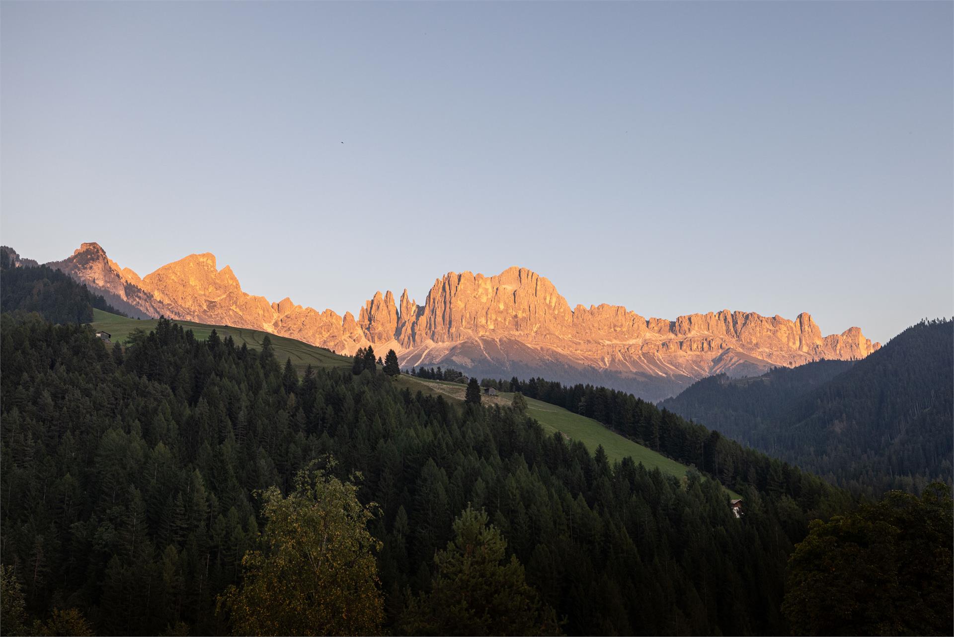 Appartements Jungbrunn Tiers am Rosengarten 17 suedtirol.info