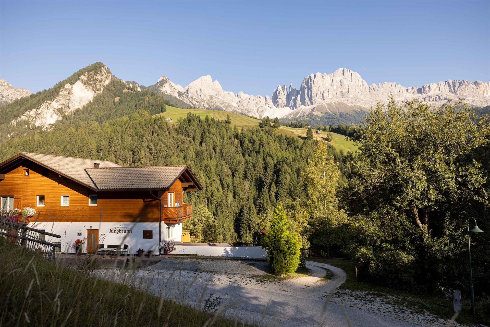 Appartements Jungbrunn Tiers am Rosengarten 14 suedtirol.info