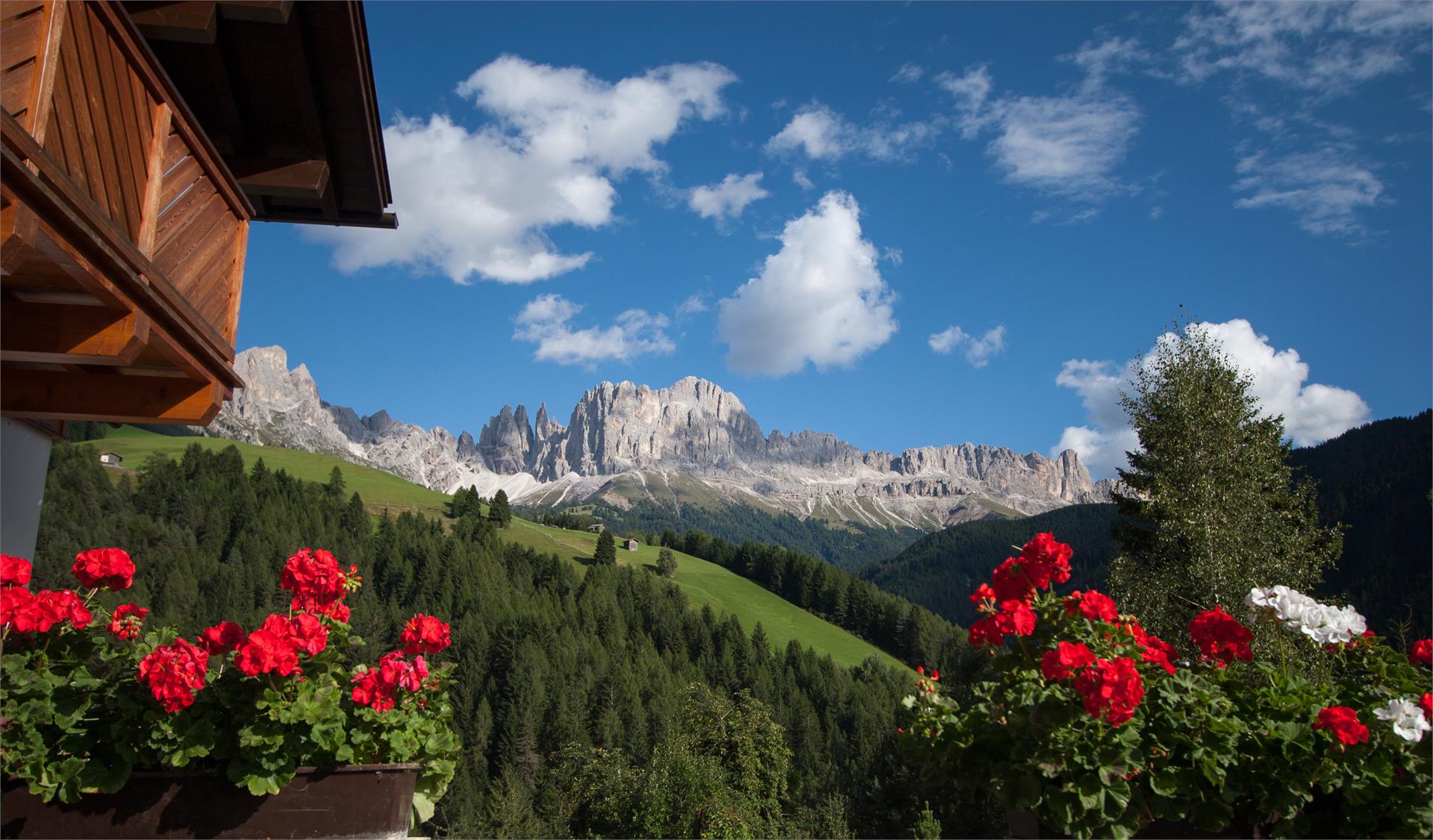 Appartements Jungbrunn Tiers am Rosengarten 4 suedtirol.info