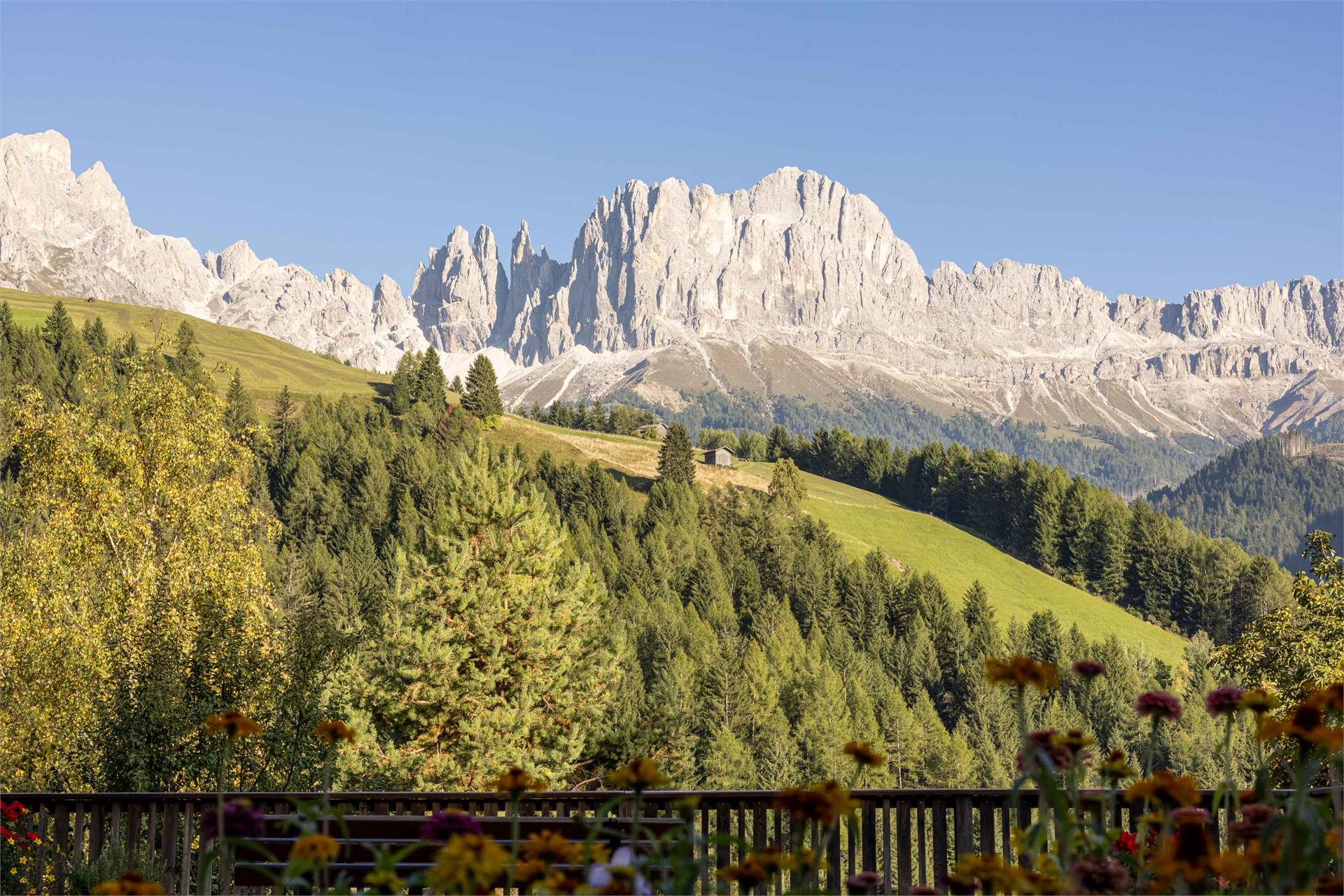 Appartements Jungbrunn Tiers am Rosengarten 15 suedtirol.info