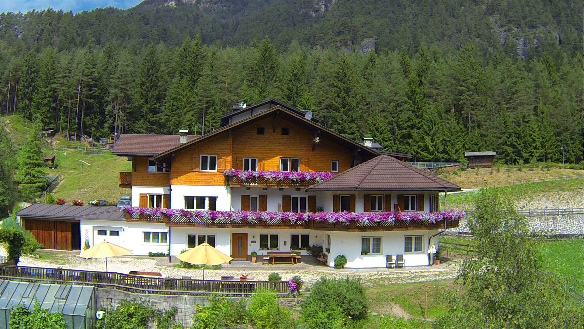 Appartements Jungbrunn Tiers am Rosengarten 1 suedtirol.info