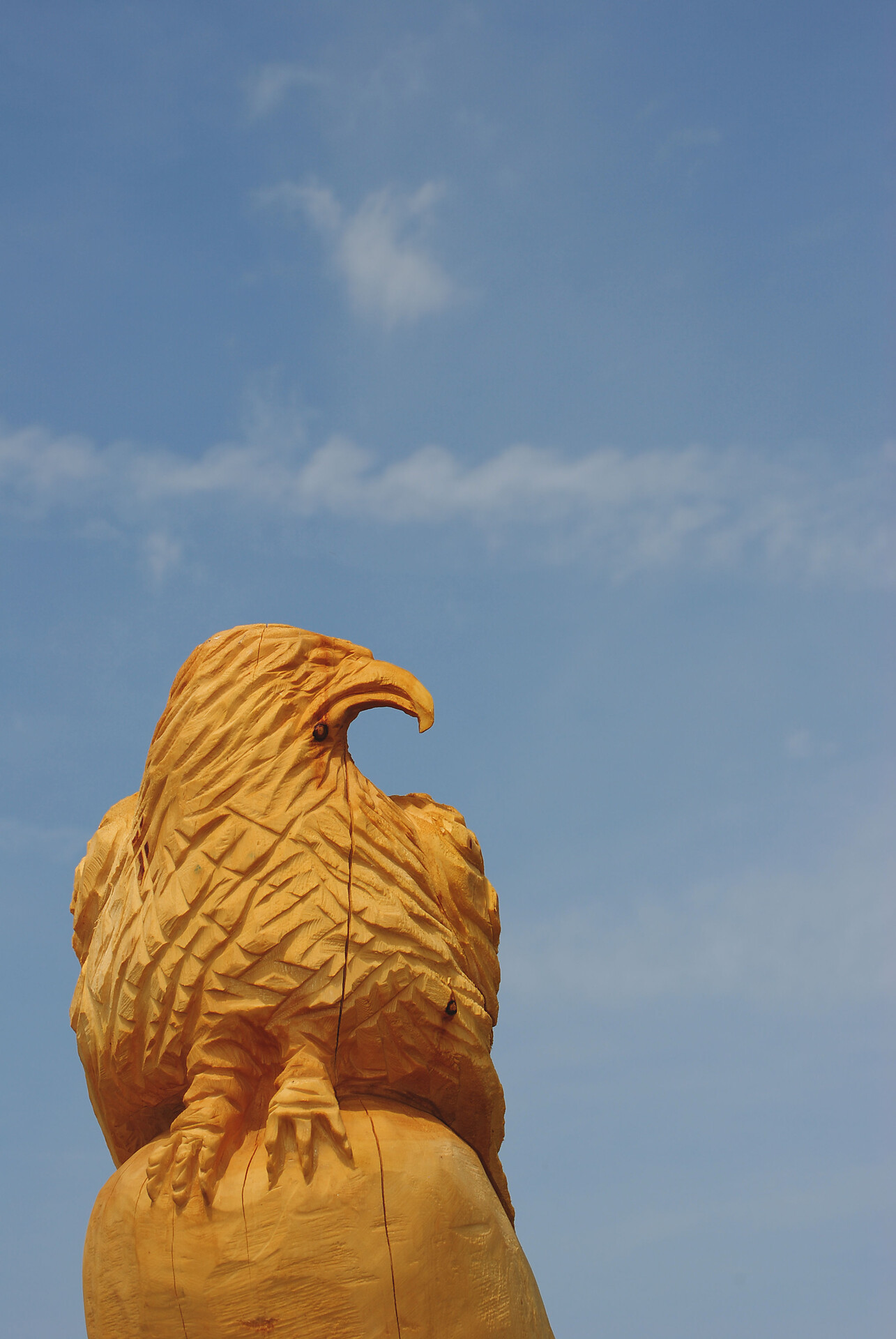 Kaserott_Adler