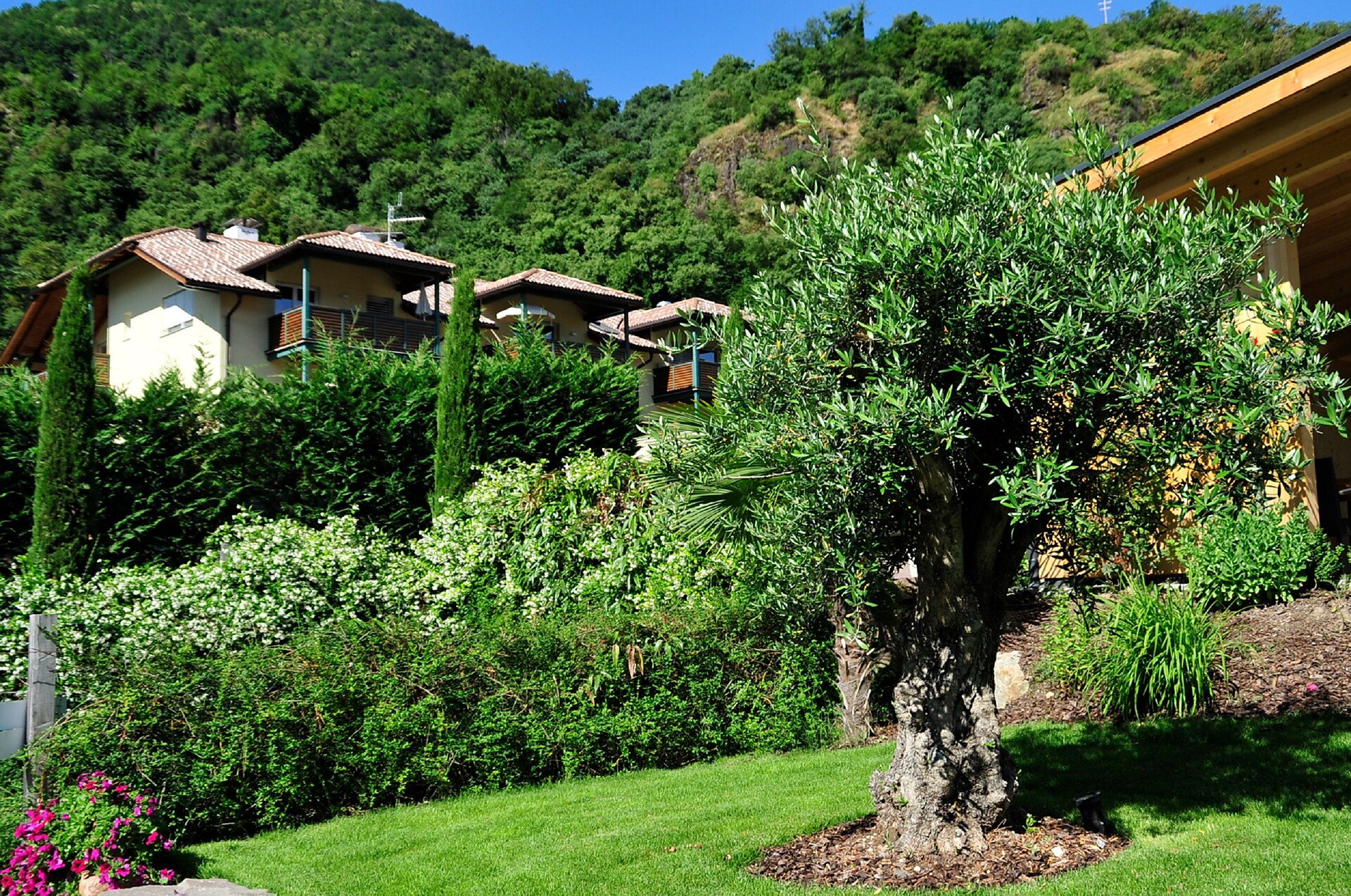 giardino