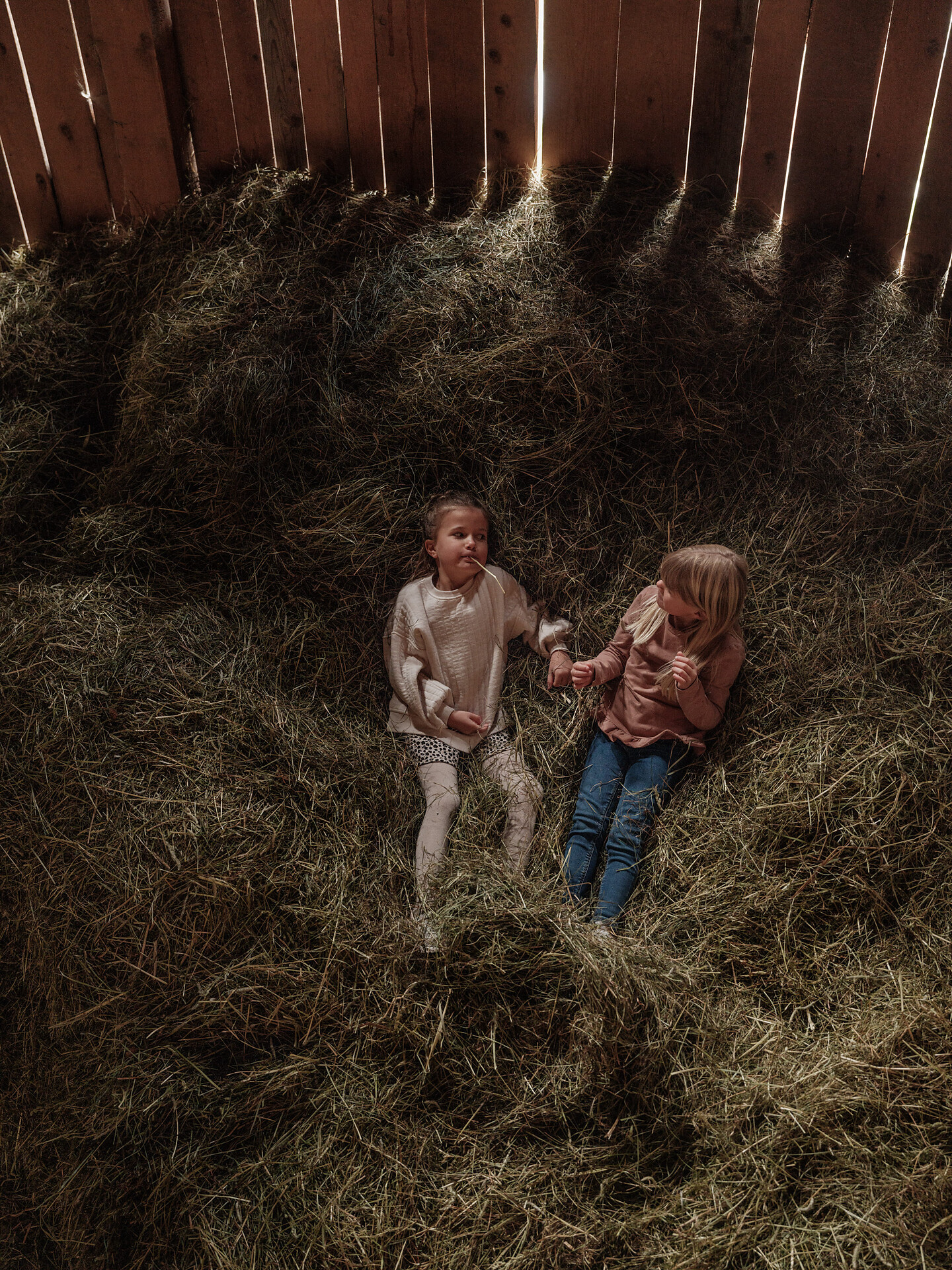 Farm Kidsactivities