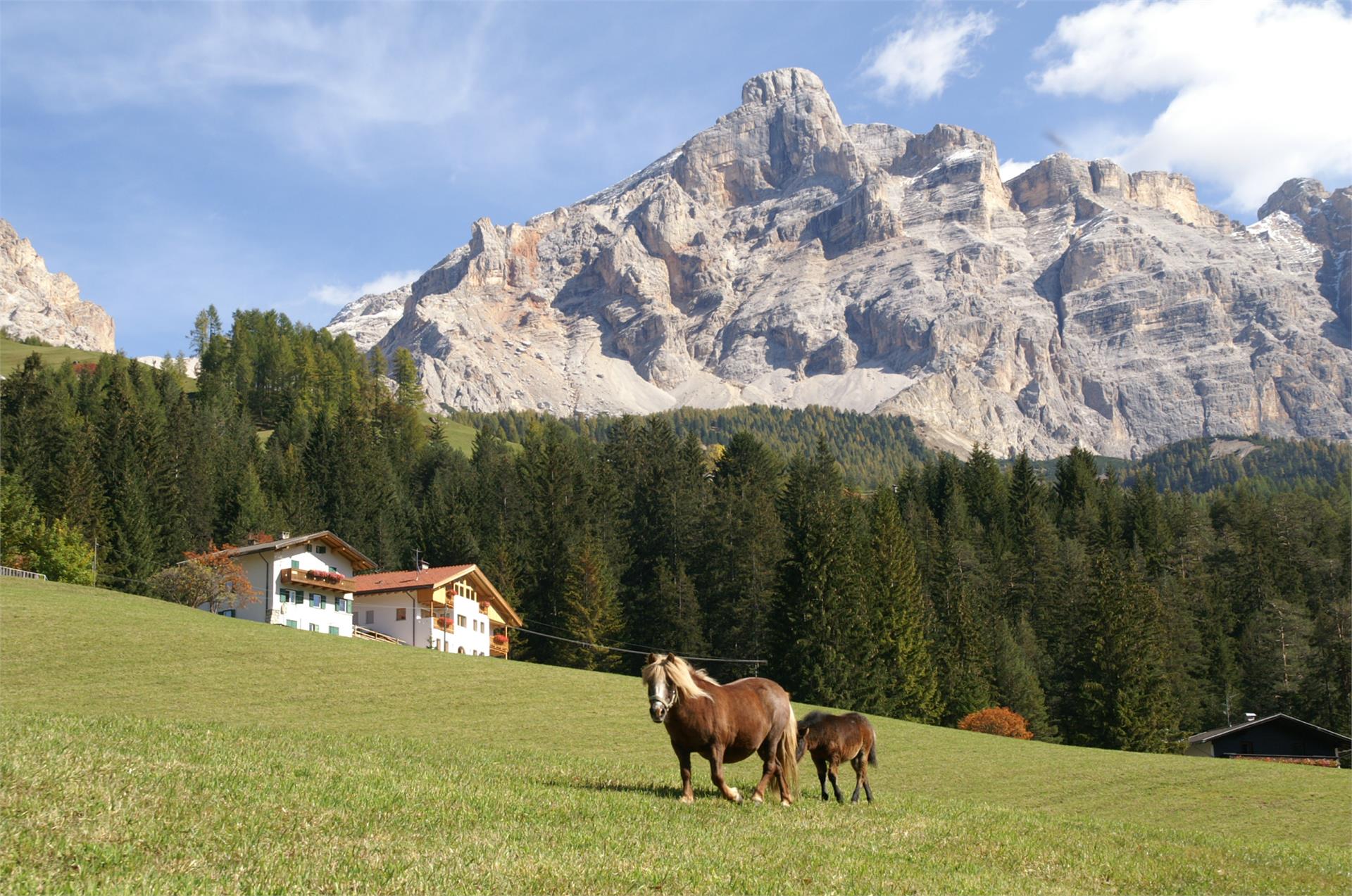 App. Trasira Badia 3 suedtirol.info