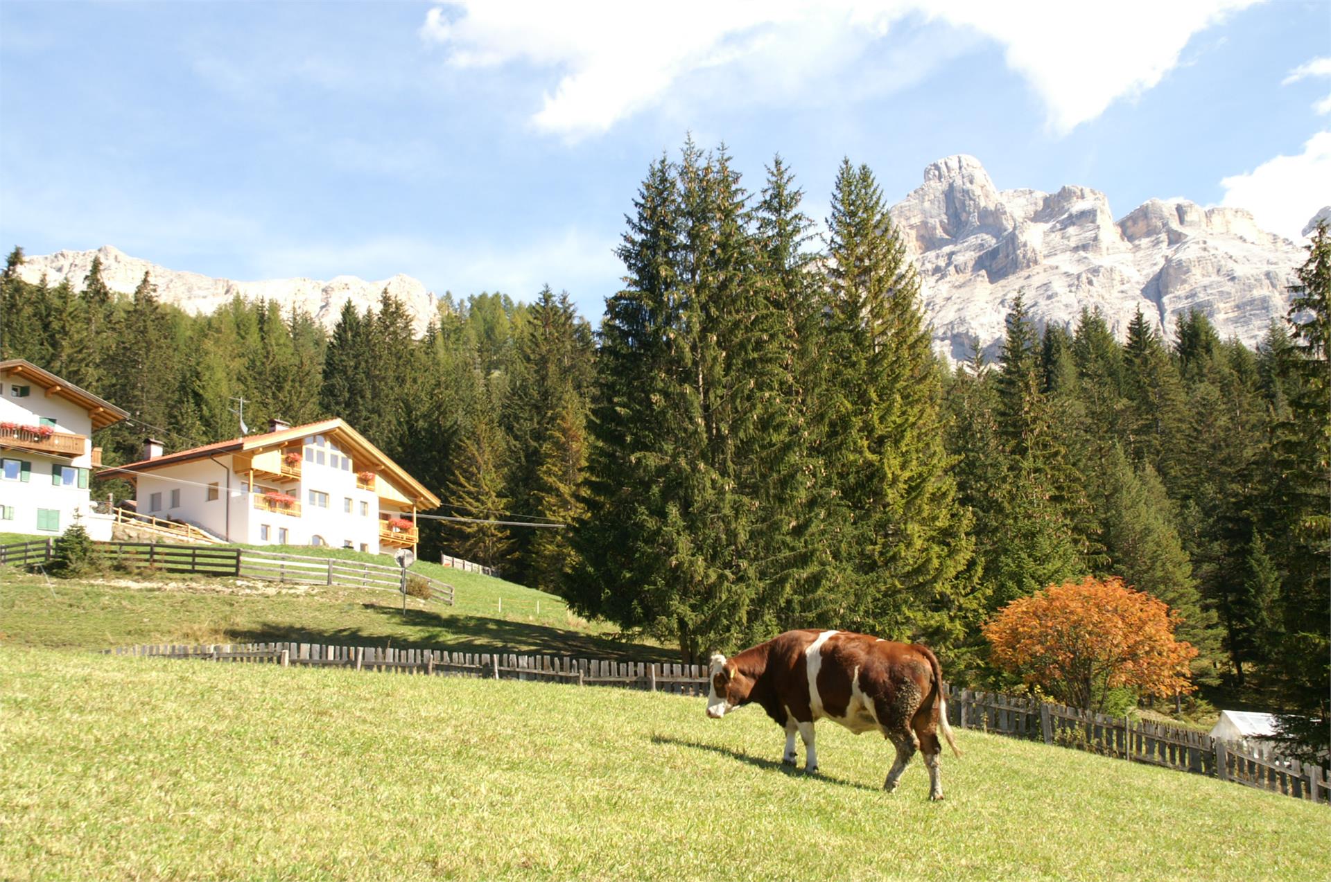 App. Trasira Badia 21 suedtirol.info