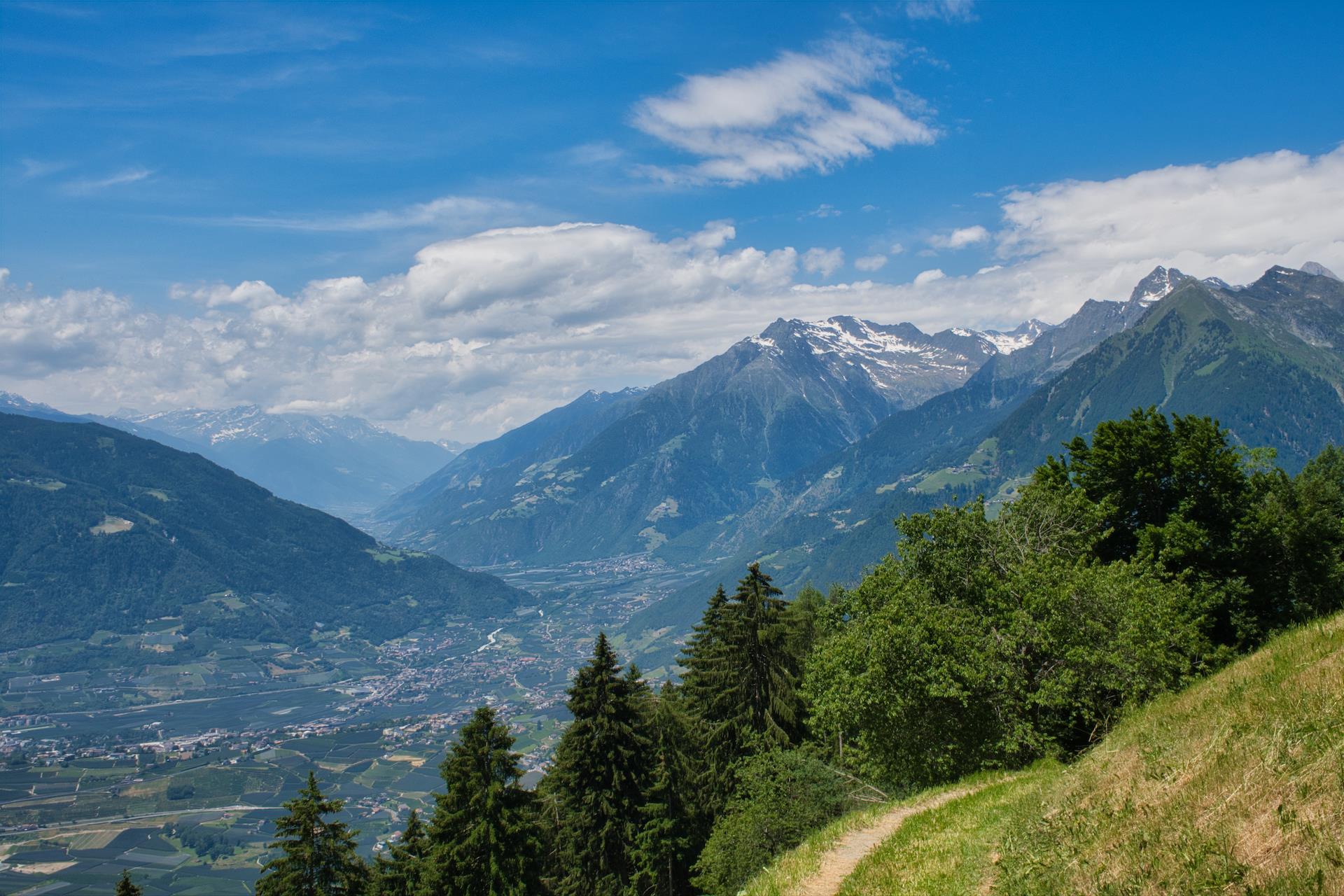 Alpenrösli Hafling Hafling 9 suedtirol.info