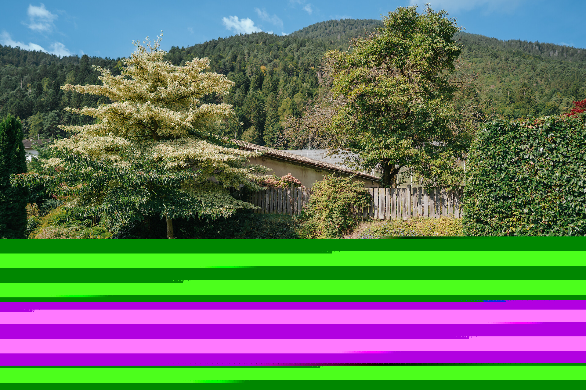 the manor house with the romantic garden