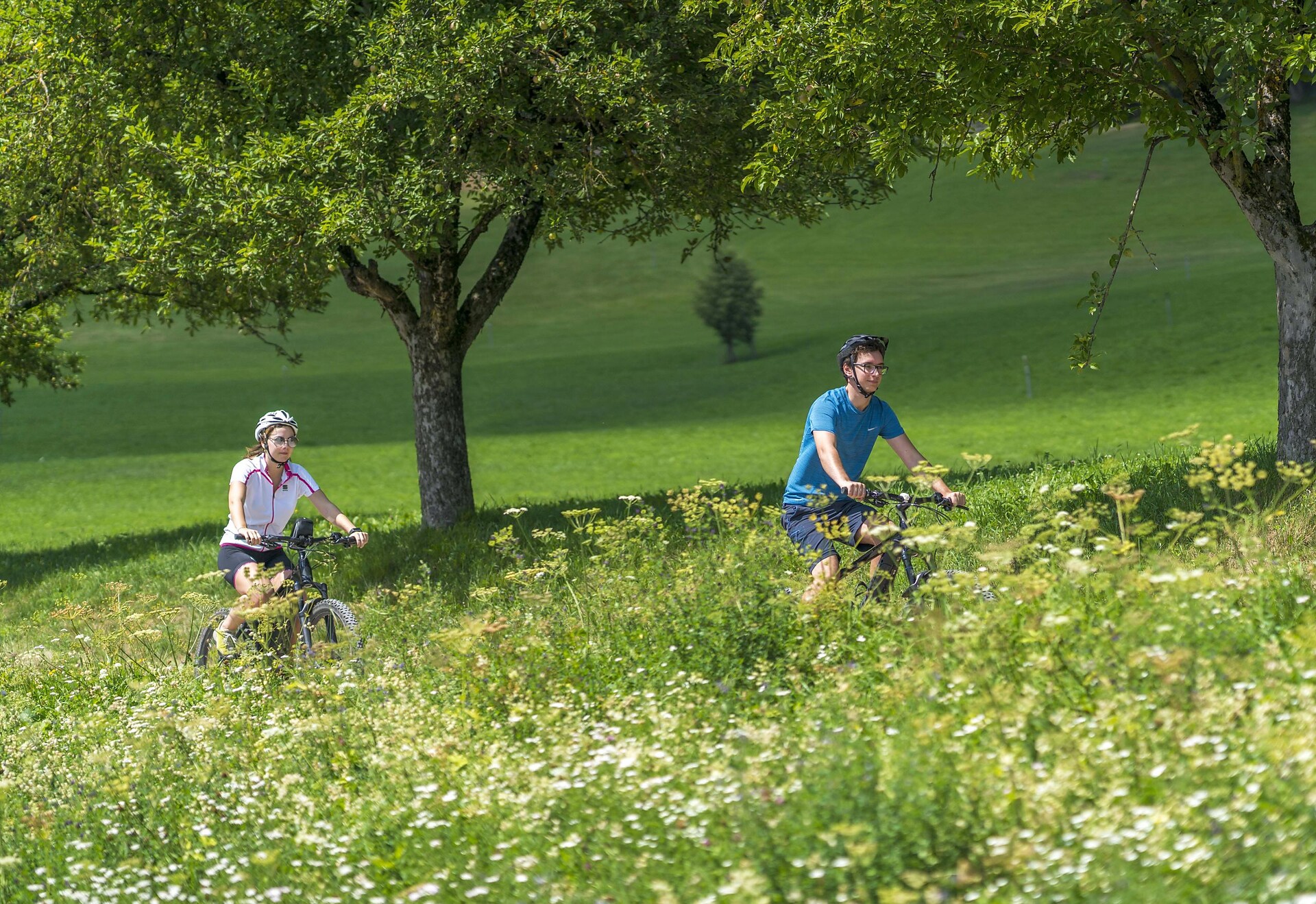 Cycling is a highlight (bed + bike certified establishment)