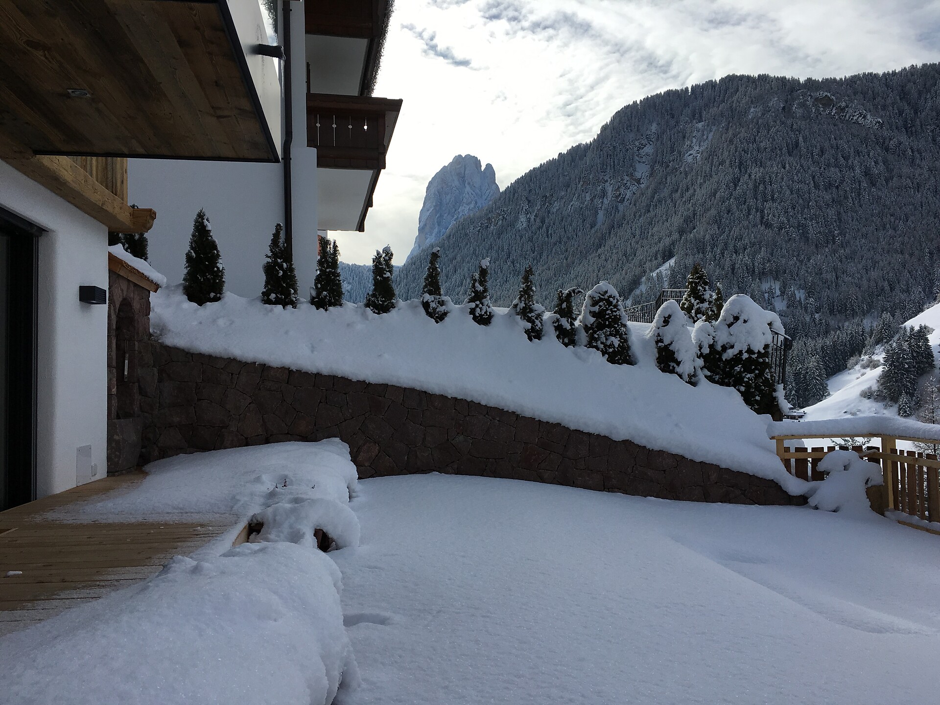 saslong view
