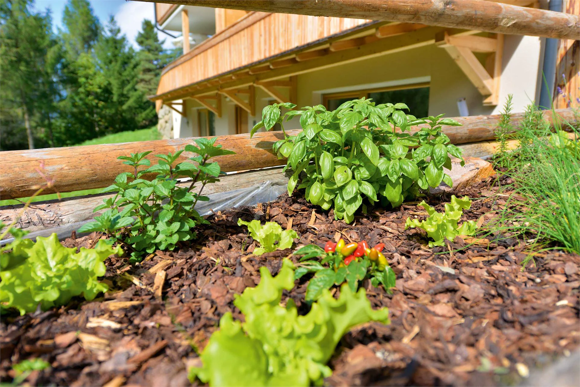 Apartments Fuchsmaurer Brixen/Bressanone 6 suedtirol.info