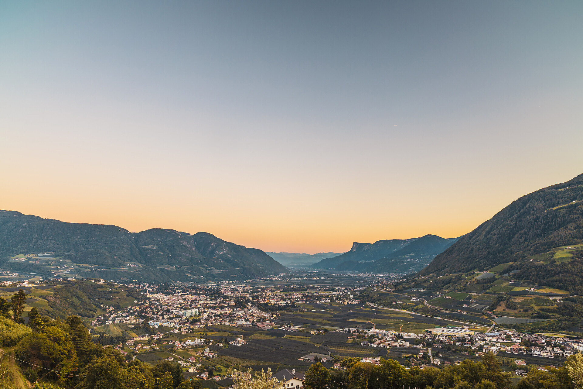 Panoramic view