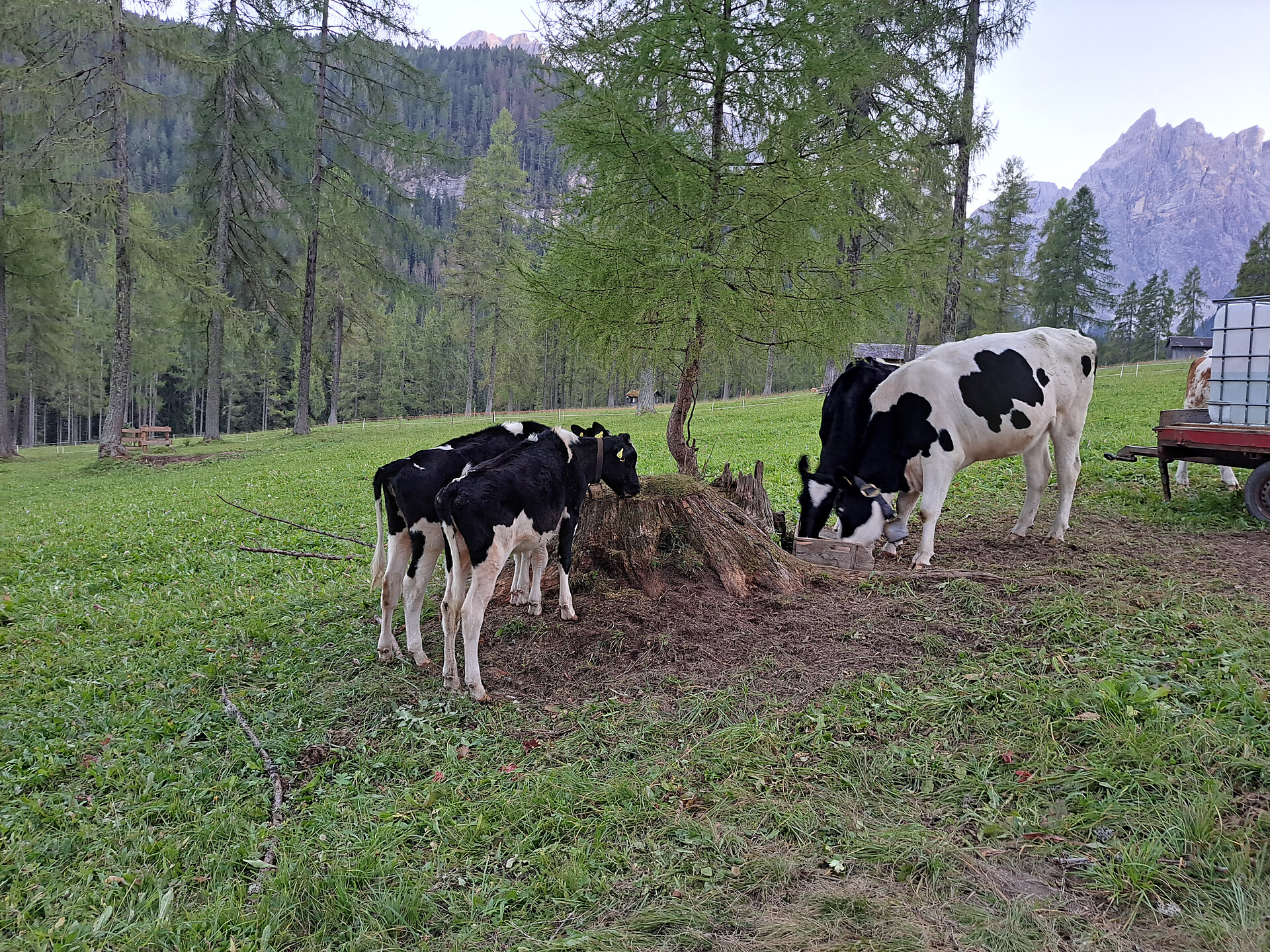 Ausserschrafflerhof