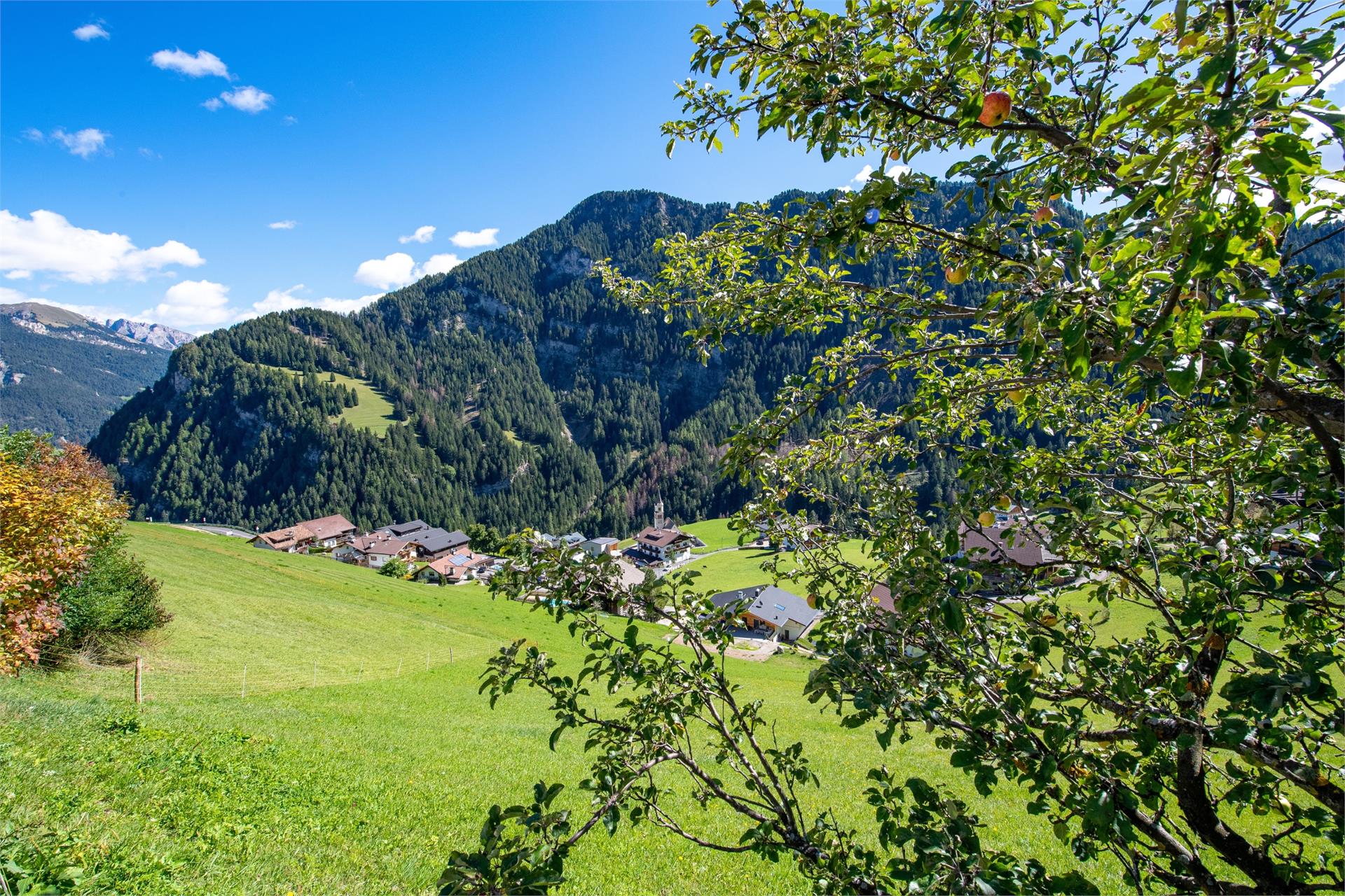 Apartments Tuenehof St.Ulrich 17 suedtirol.info