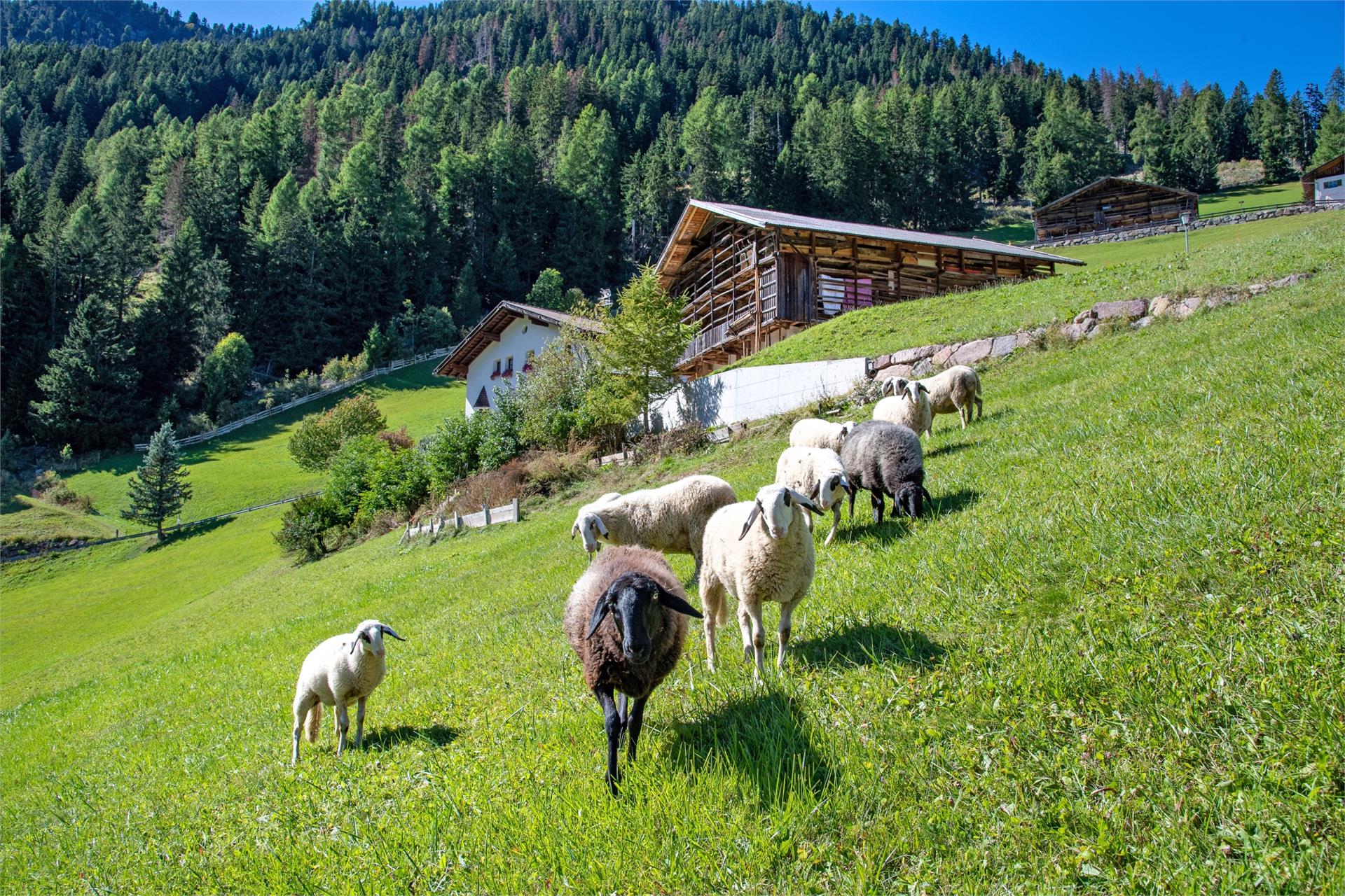 Apartments Tuenehof St.Ulrich 3 suedtirol.info