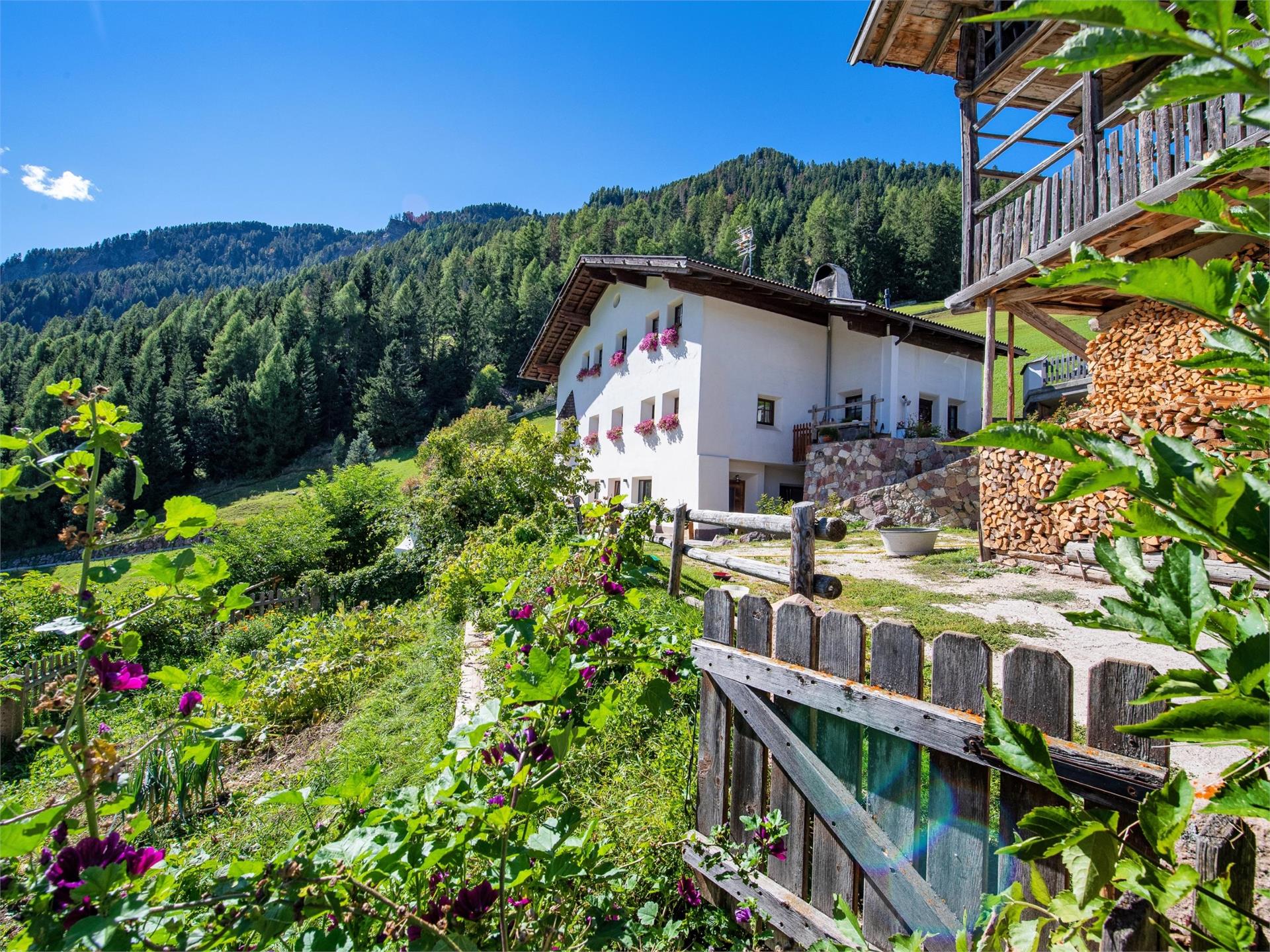 Apartments Tuenehof St.Ulrich 1 suedtirol.info