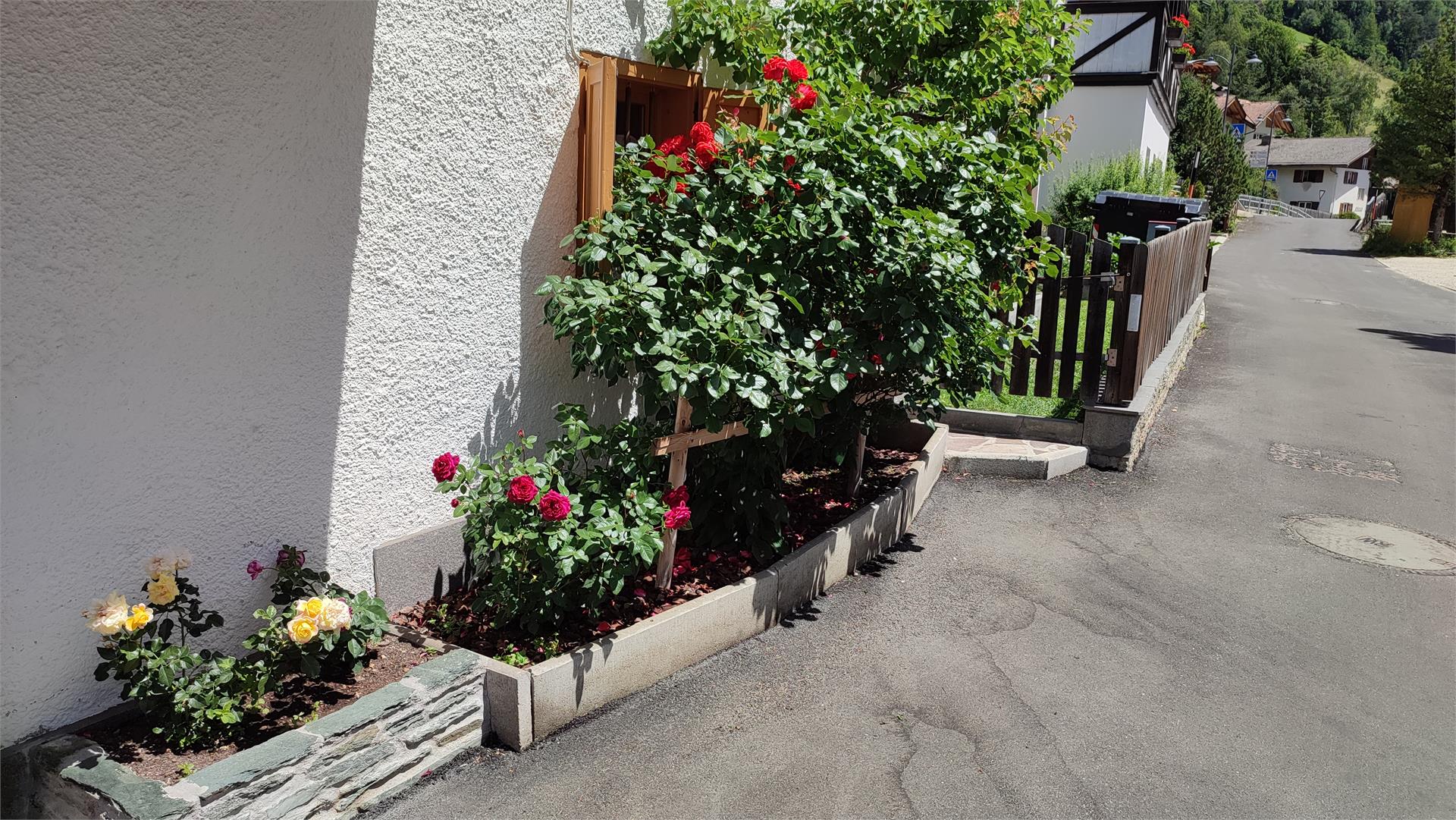 Apartments Ciasa Rosada San Vigilio 4 suedtirol.info