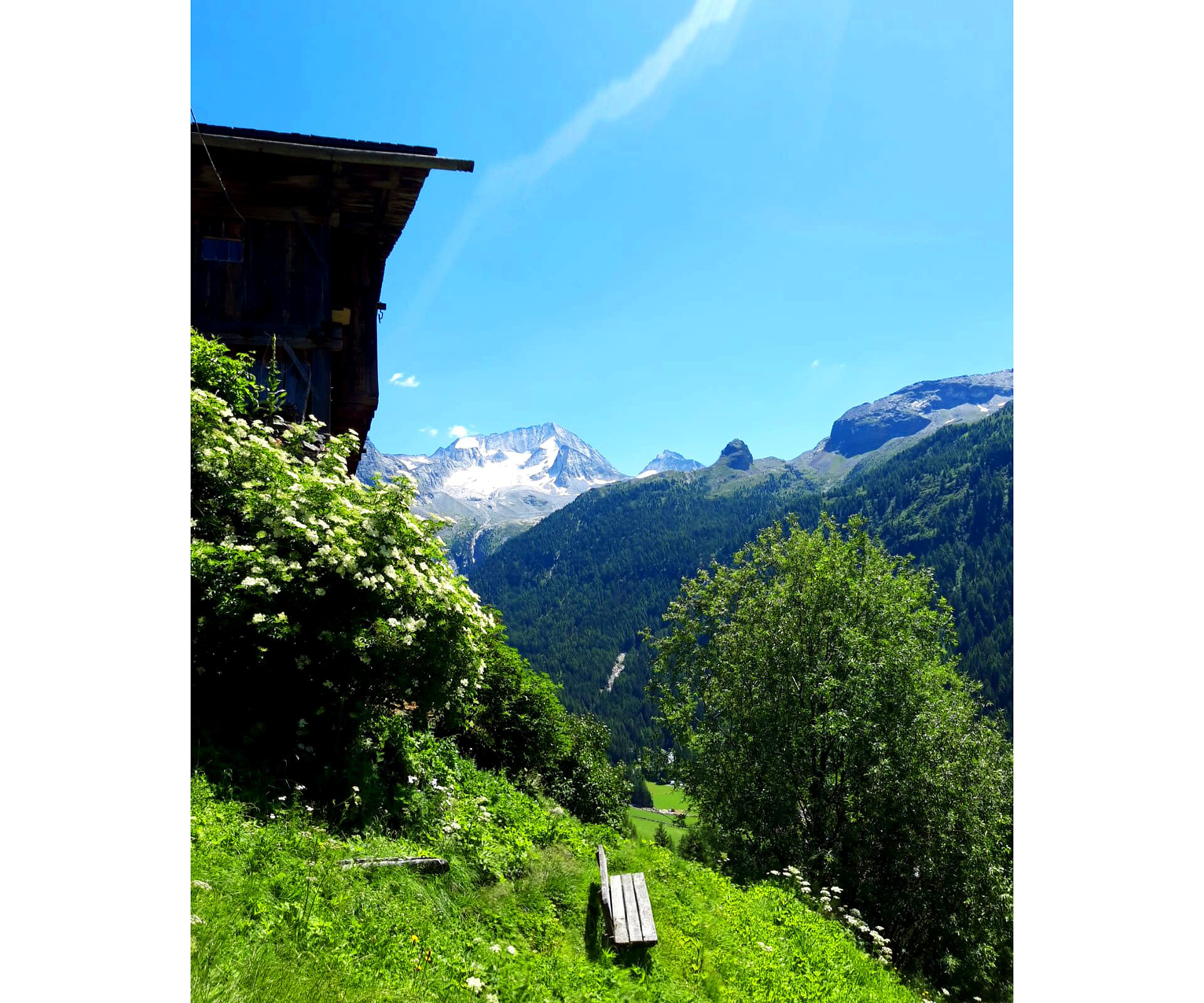 App. Koflerhof Biohof Rein in Taufers Riva di Tures