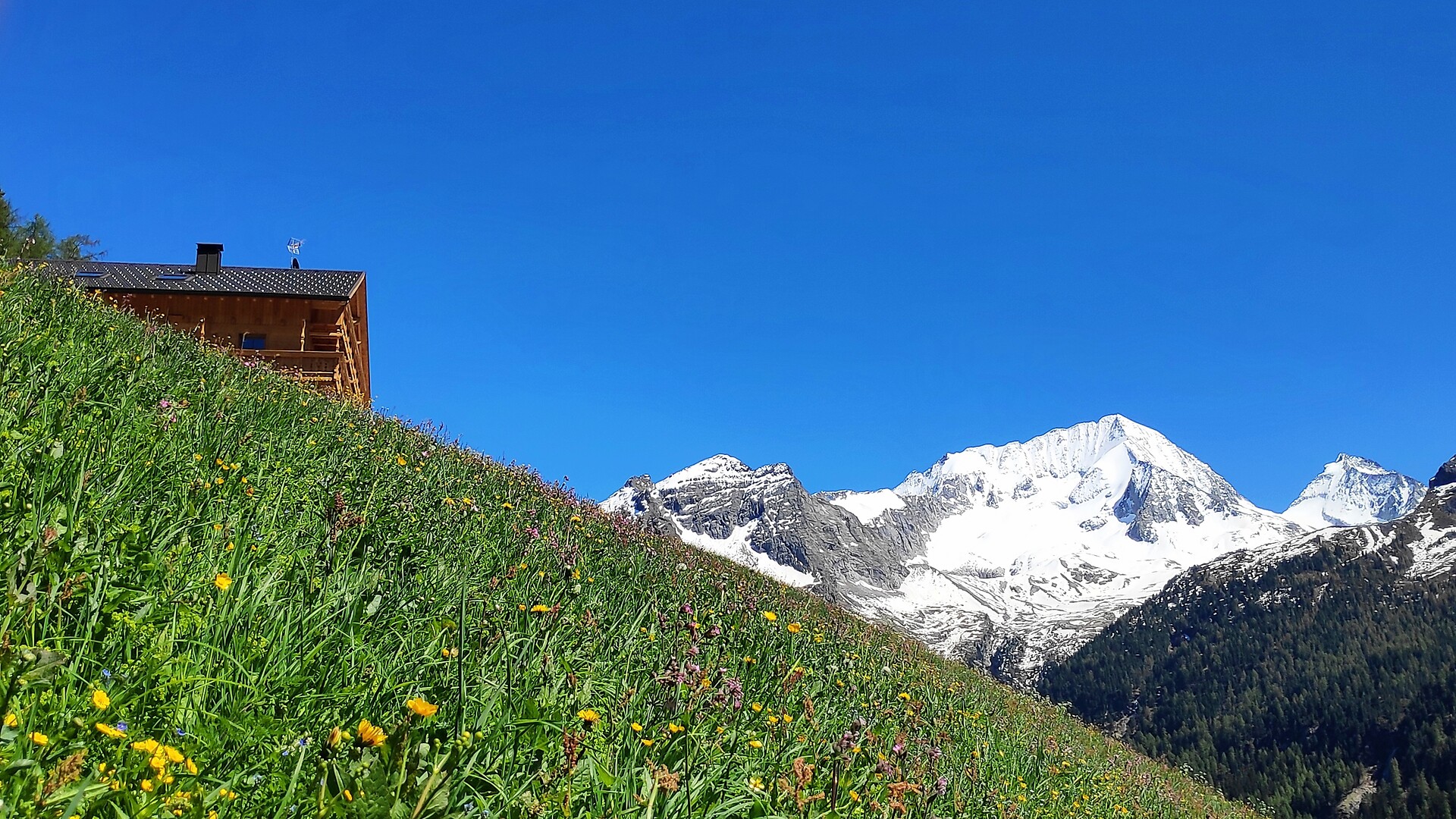 App. Koflerhof Biohof Rein in Taufers Riva di Tures
