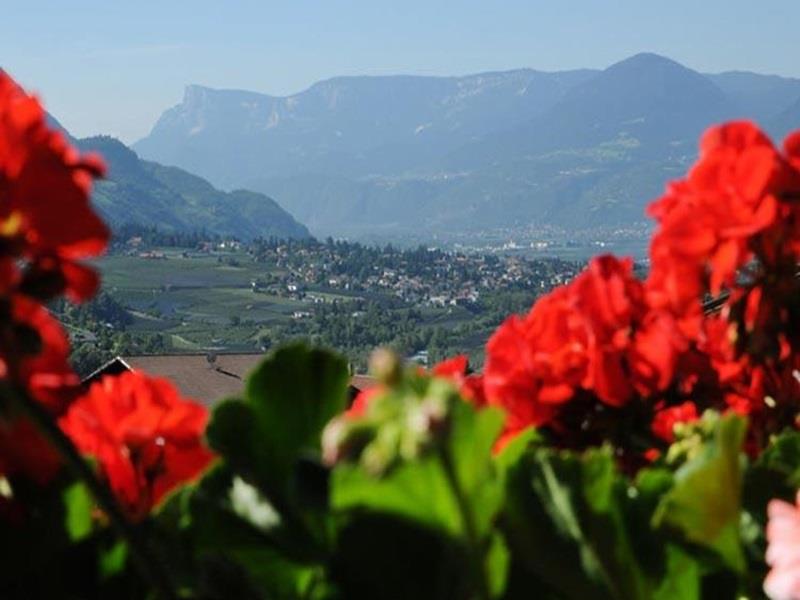 Appartements Egger Riffian 5 suedtirol.info