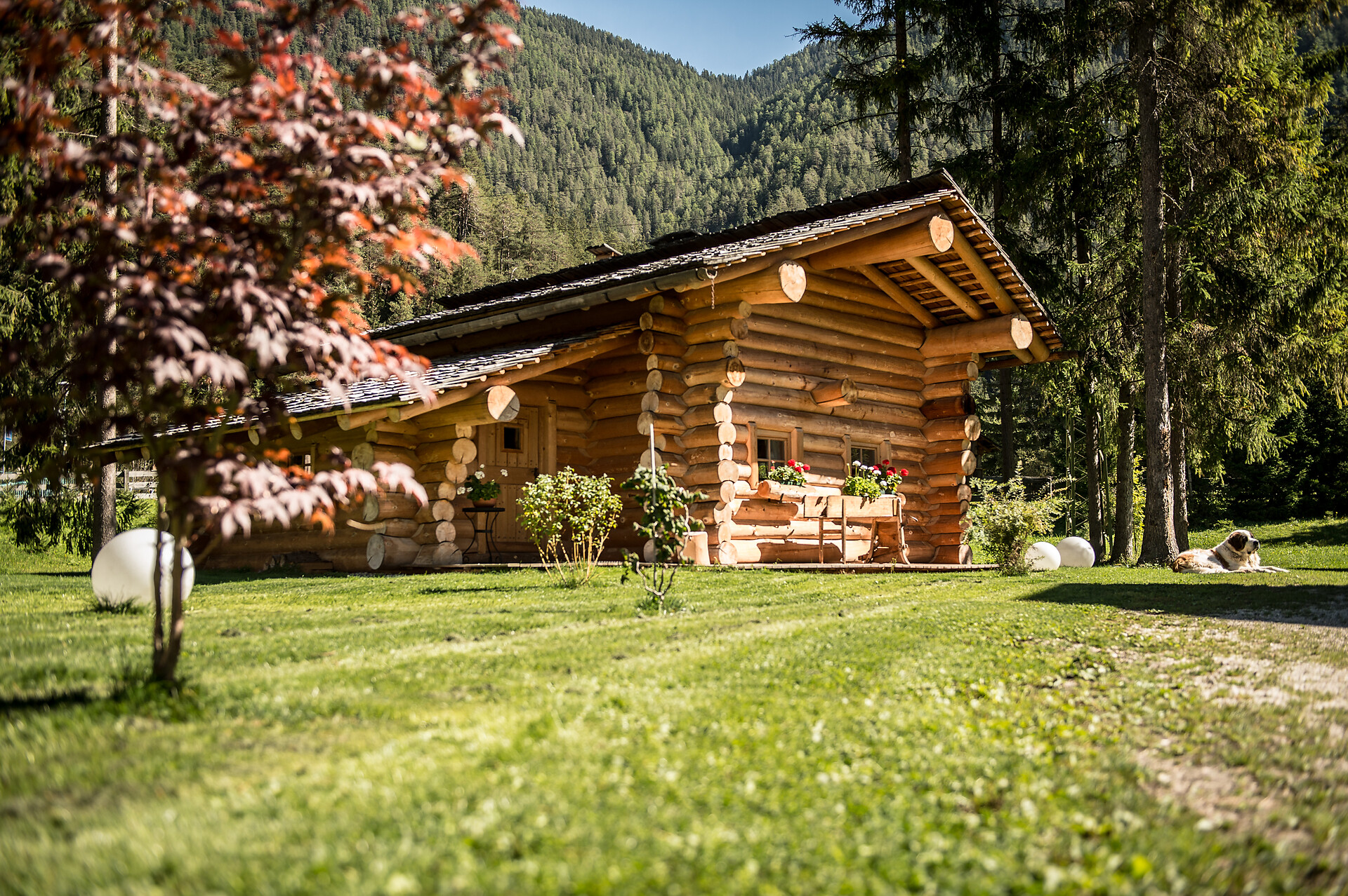 Casetta sauna