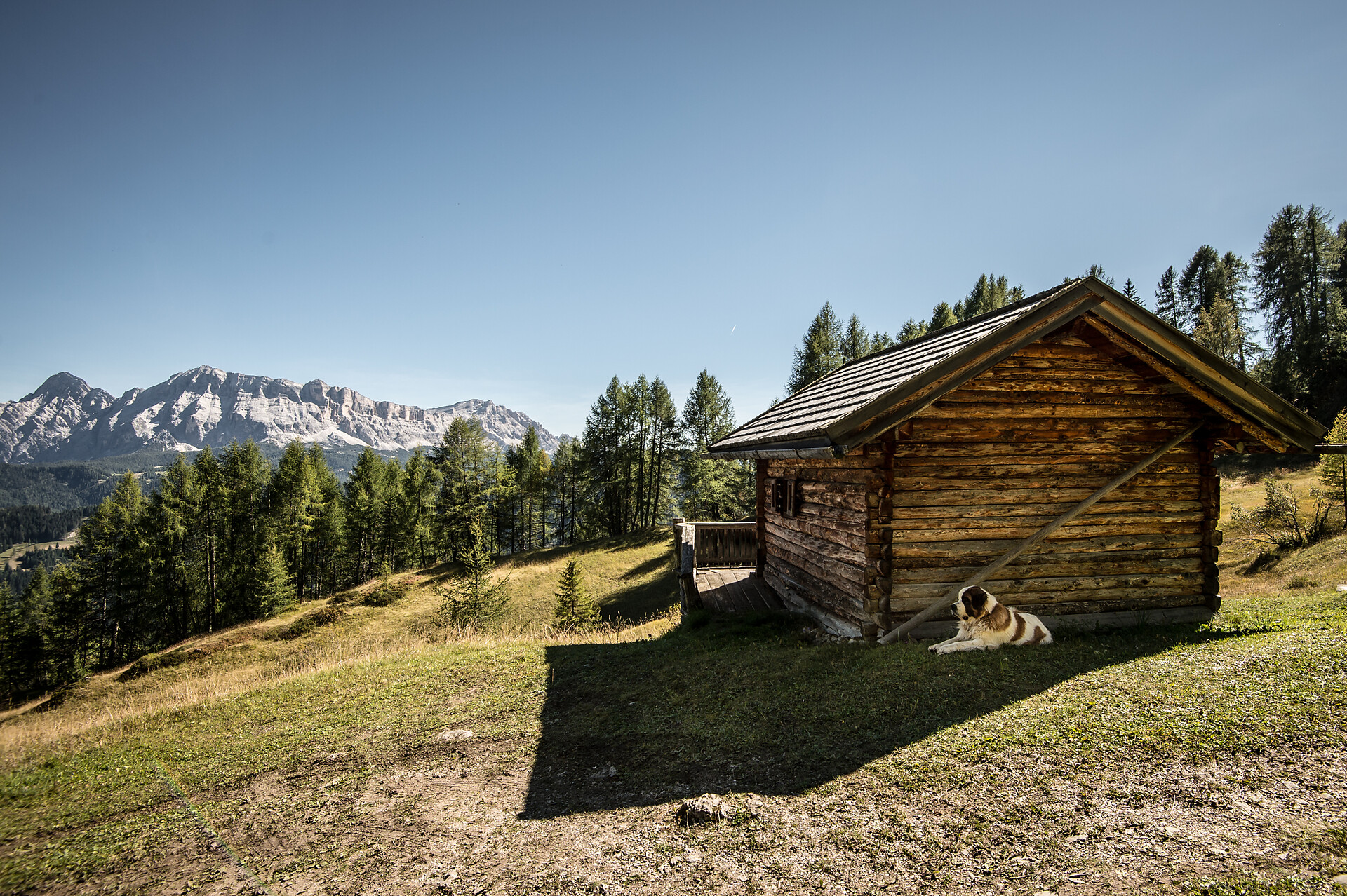 in montagna