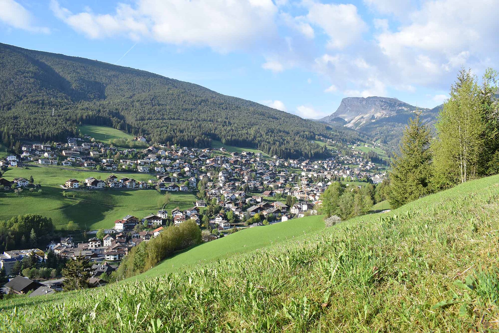 Apartments Bellaria - Dolomitenregion Gröden - #10 - suedtirol.info