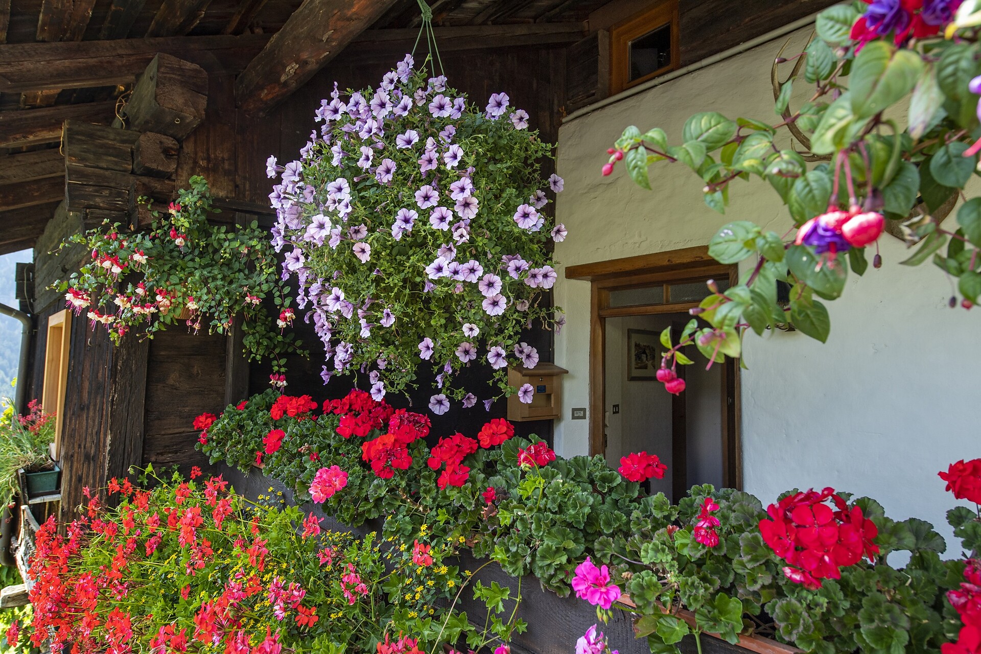 Traditional Apartment Trebe
