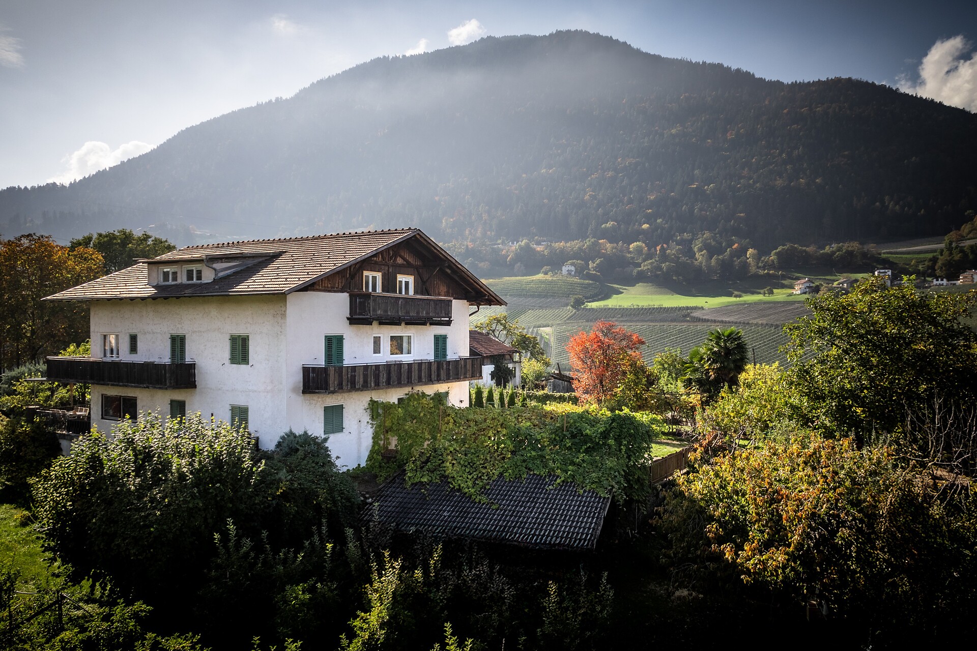 apartmentsedith Lana 29 suedtirol.info