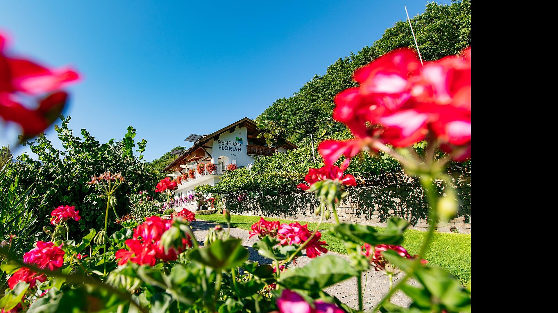 Appartement Florian Kaltern an der Weinstraße/Caldaro sulla Strada del Vino 6 suedtirol.info