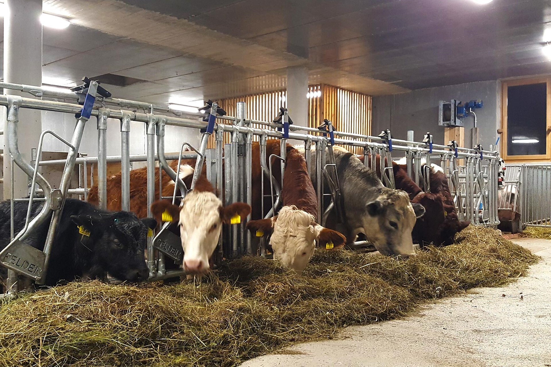 App. Unterhof Rein in Taufers Riva di Tures