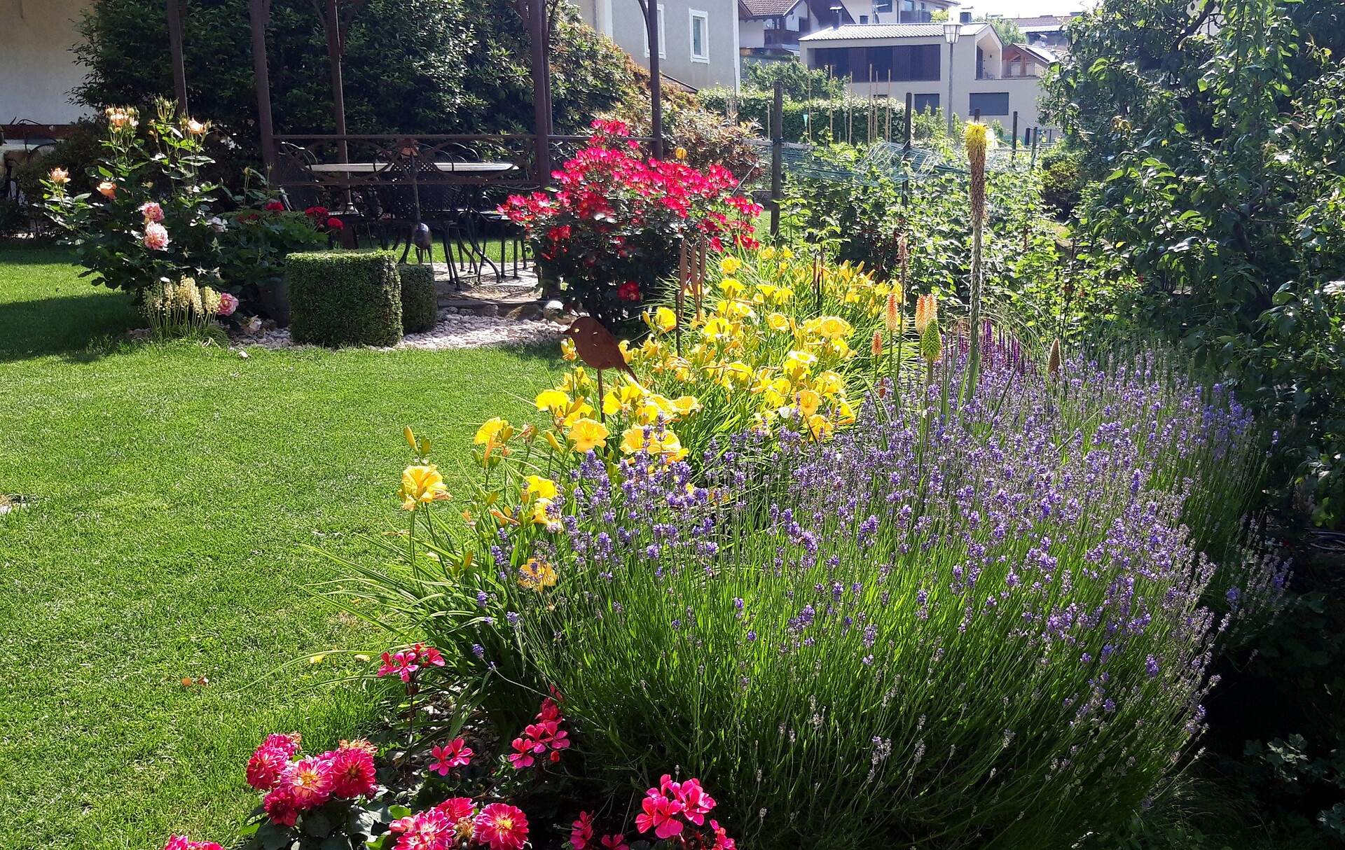 garden