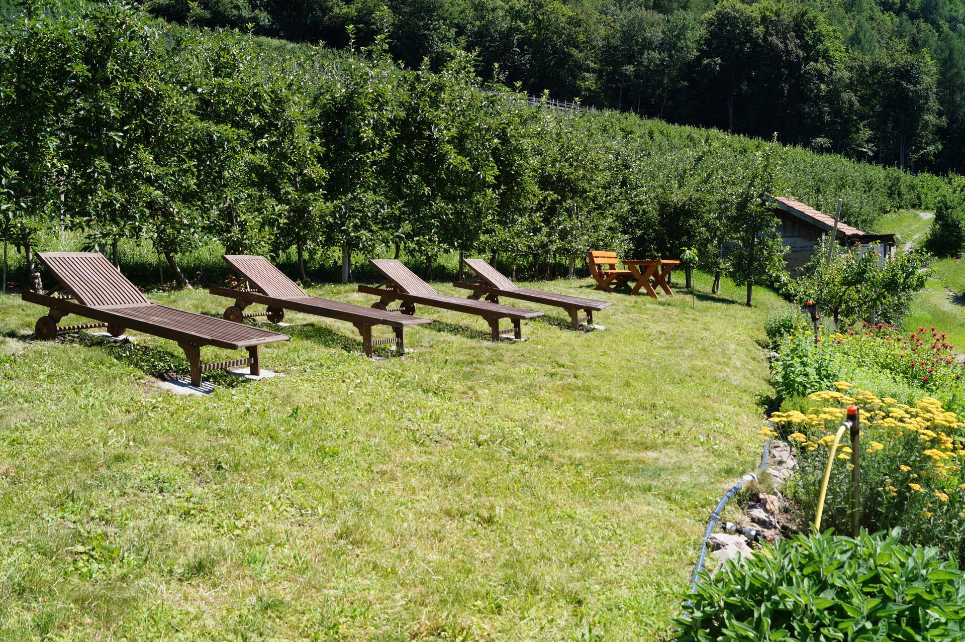App. Grumserhof Meran 21 suedtirol.info